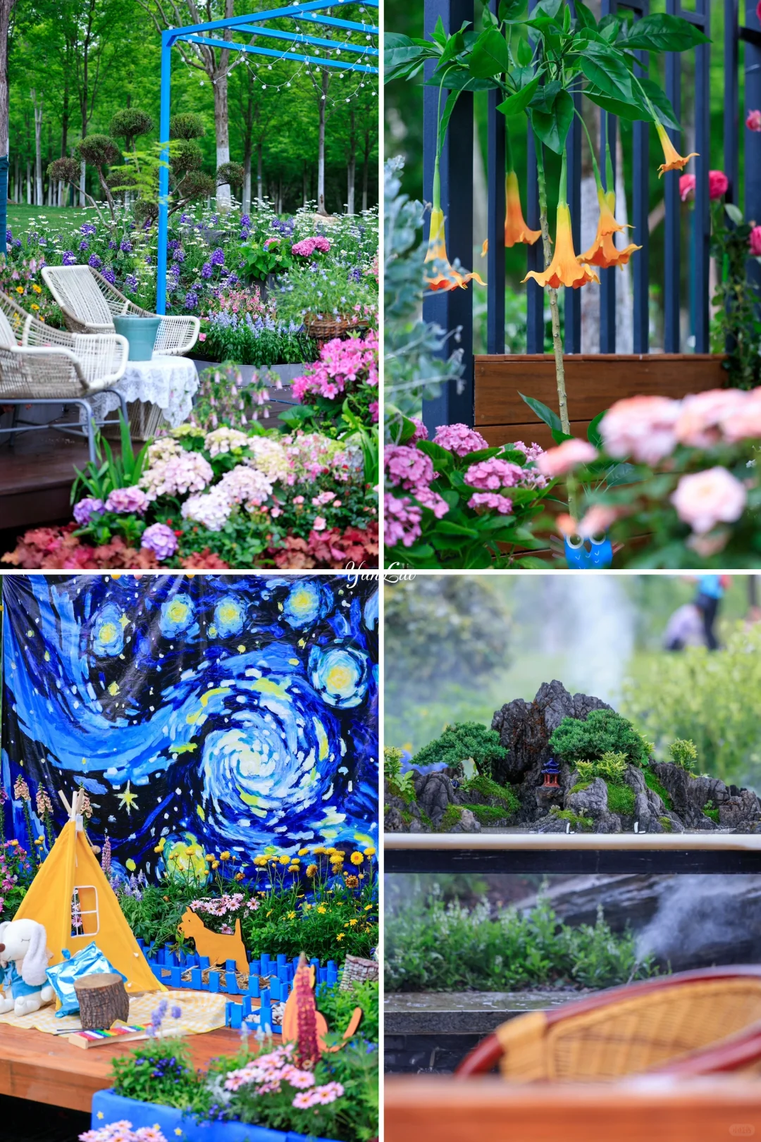 沙湖公园2025世界花园大会｜实地探展攻略