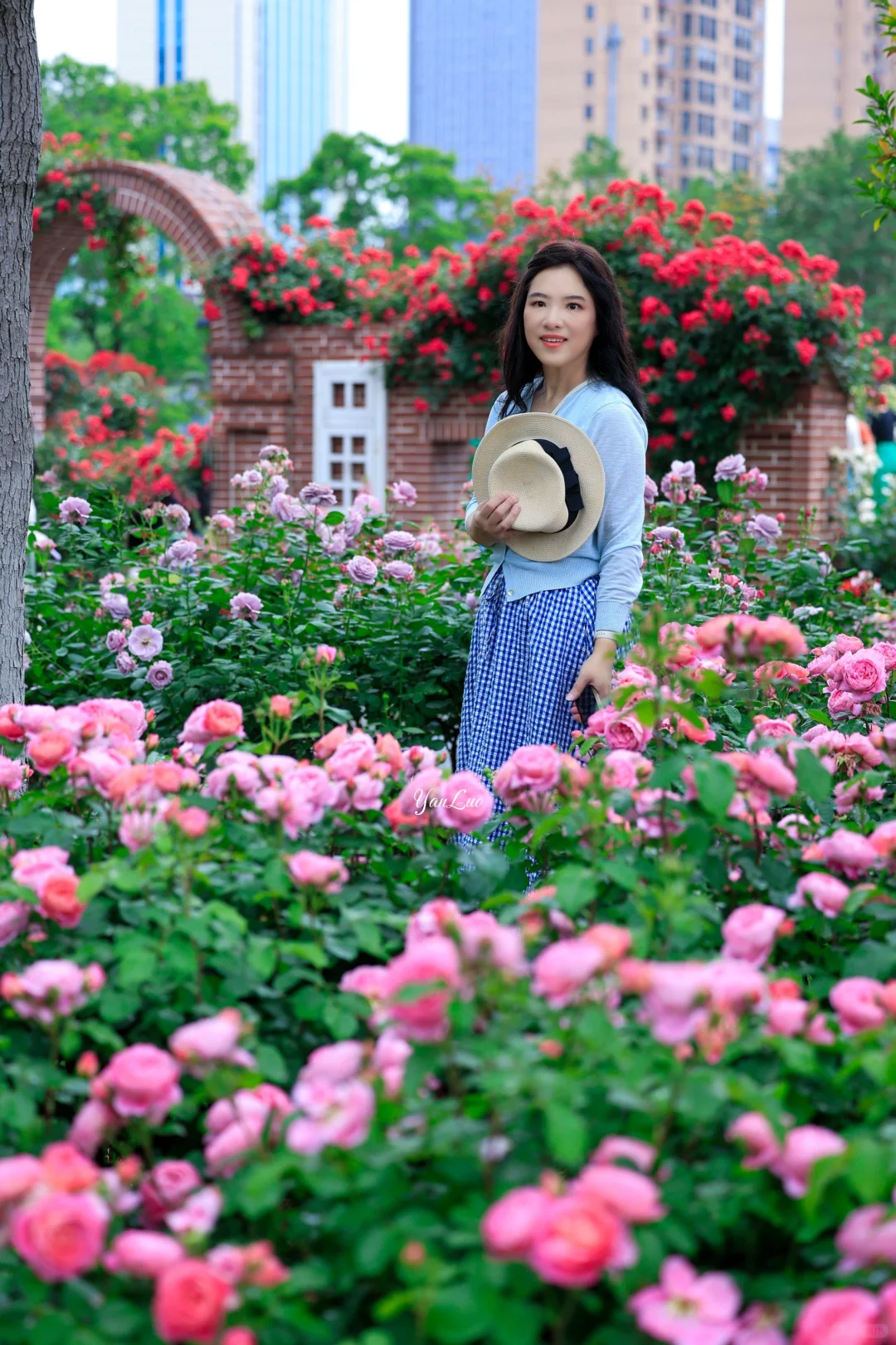 沙湖公园2025世界花园大会｜实地探展攻略