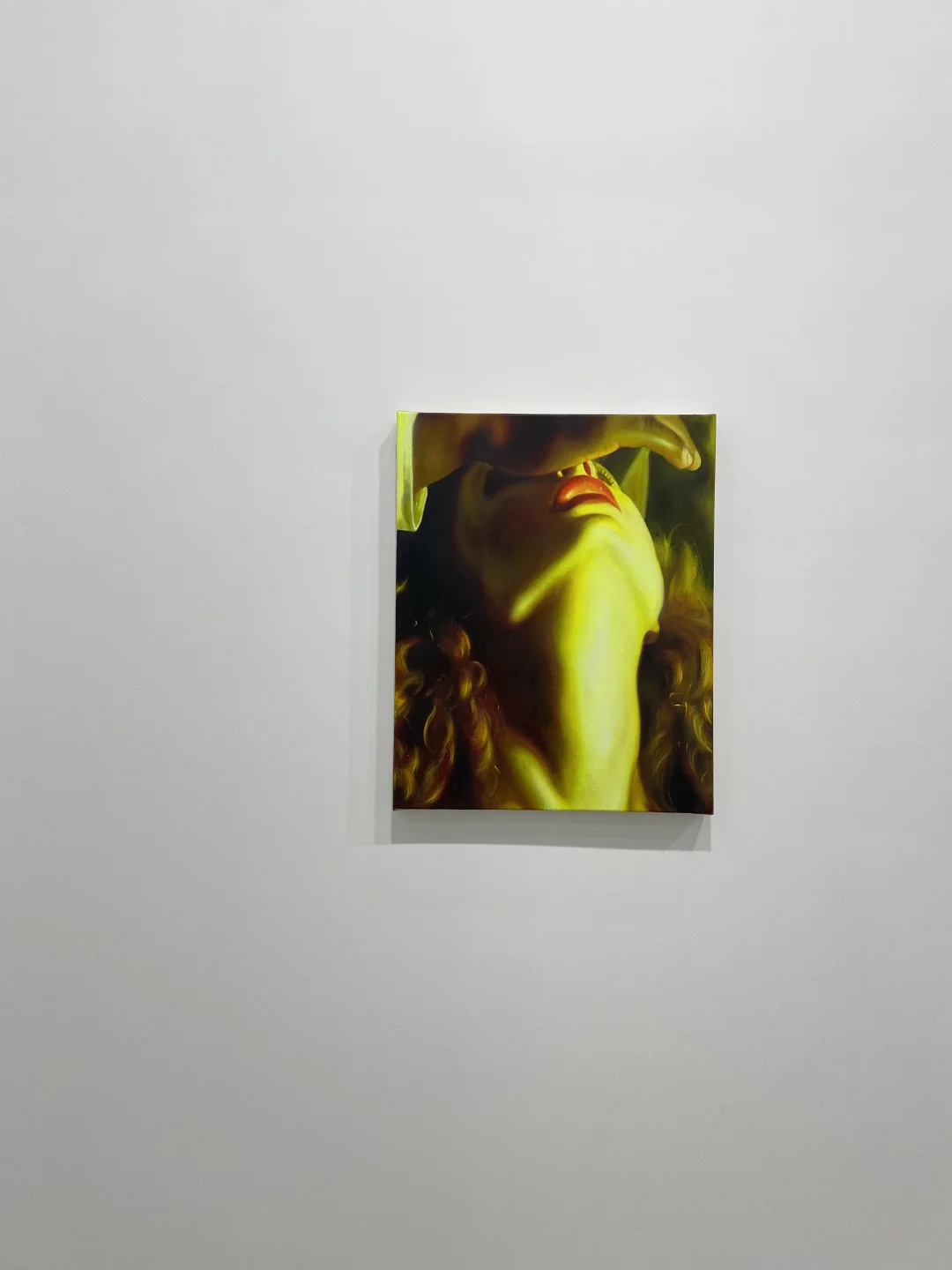 龟龟看展-西岸·2024艺术与设计博览会收官