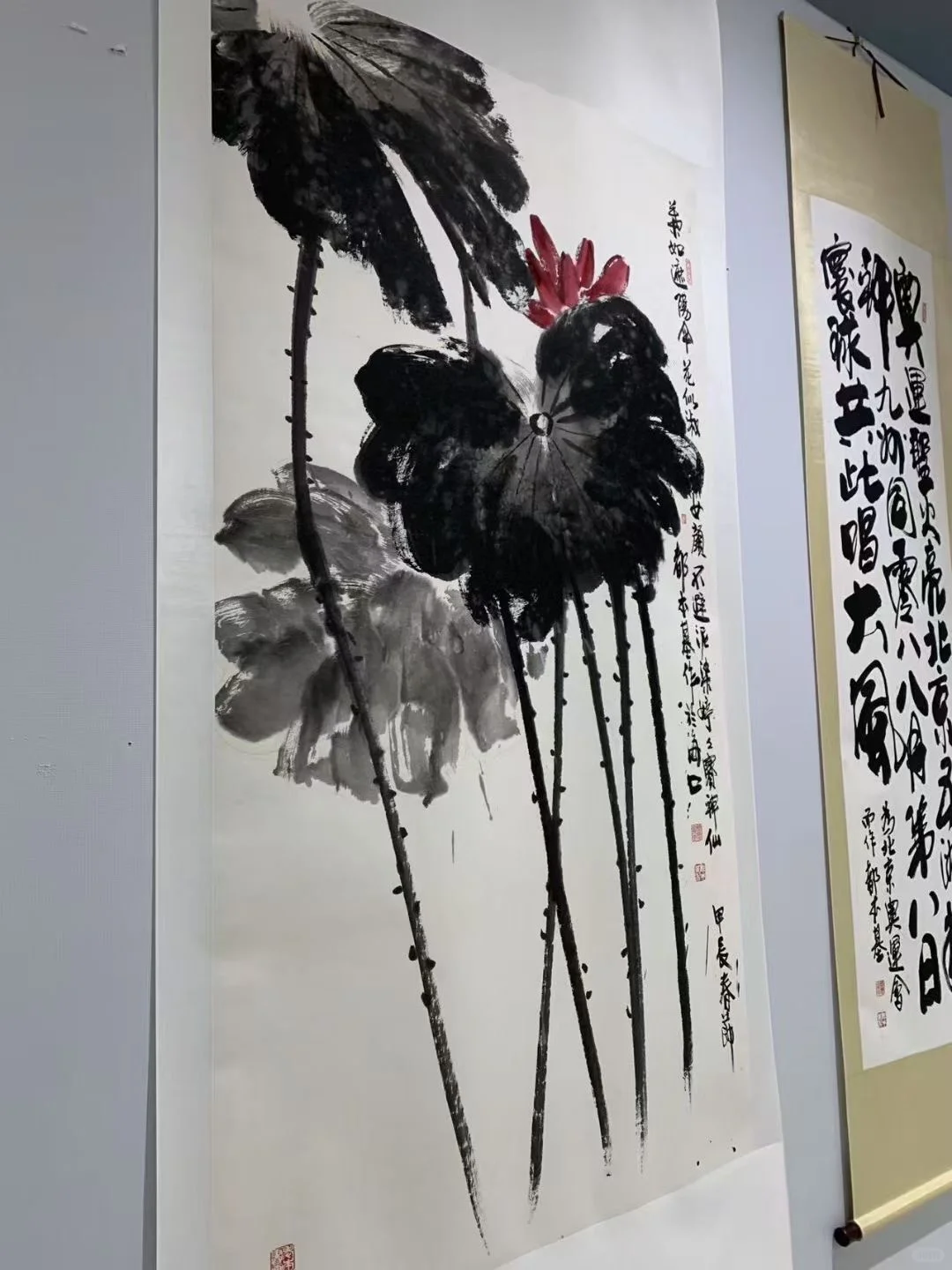 领着姑娘去看展