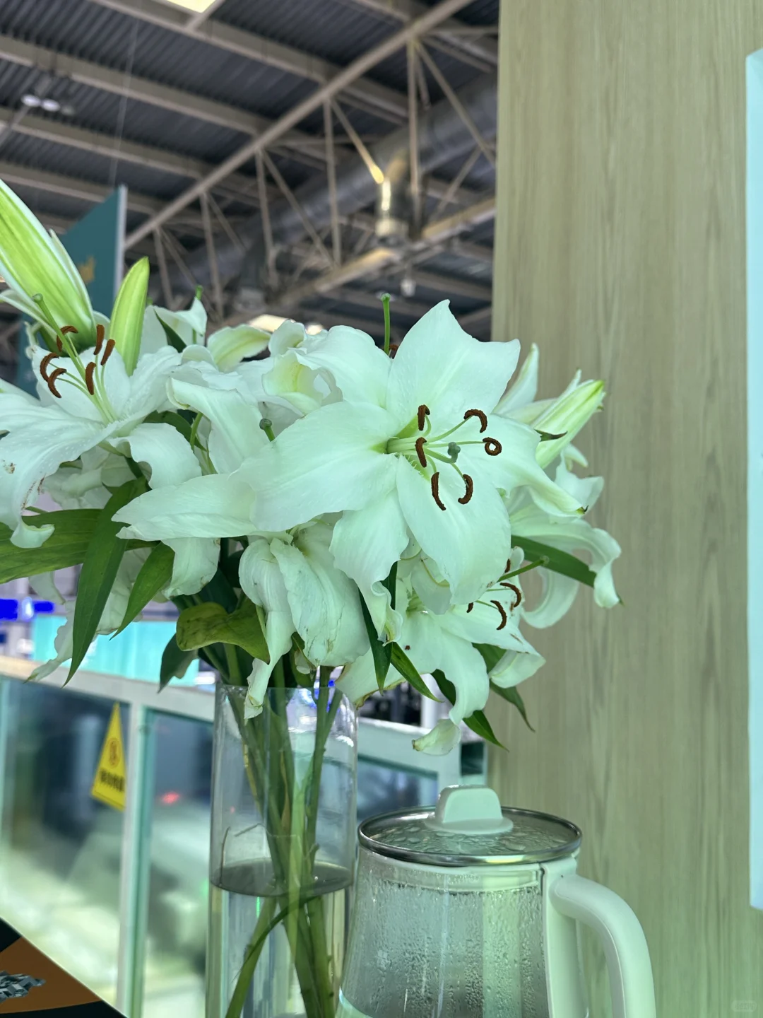 国展礼仪搬?的最后一天～