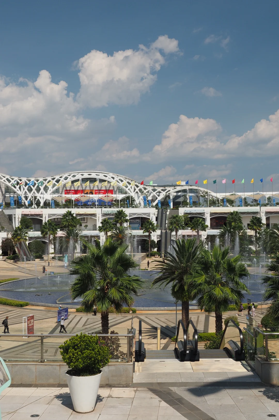 谁还没去南博会！