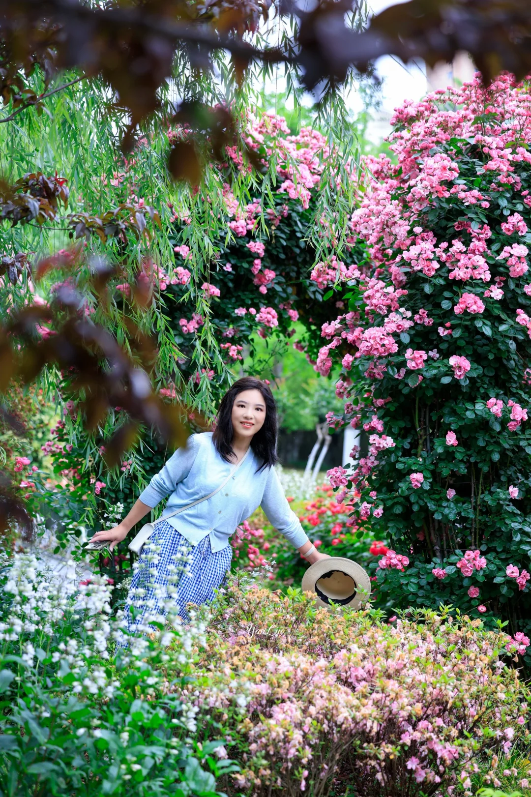 沙湖公园2025世界花园大会｜实地探展攻略