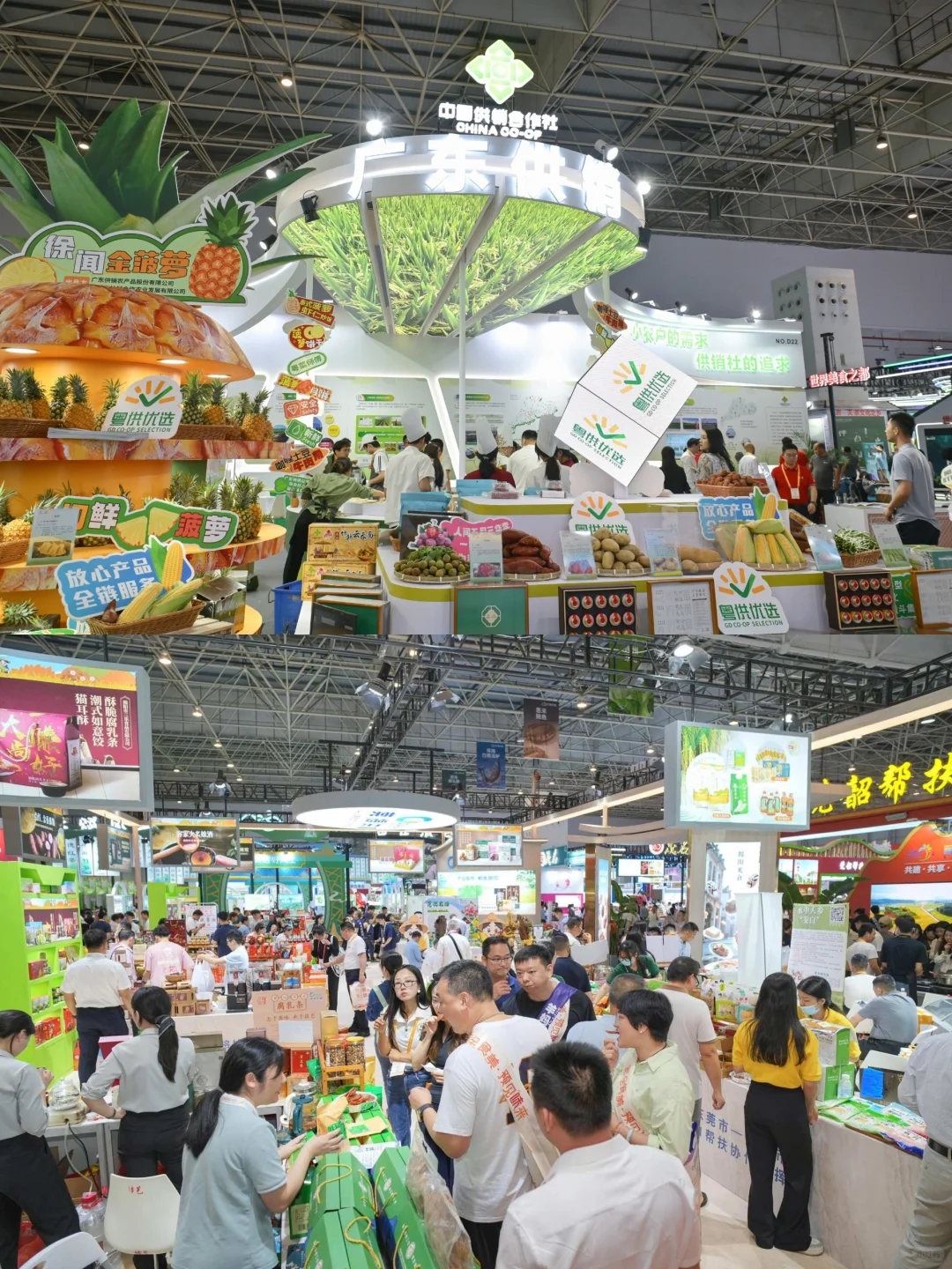 ?免费入场!本周末在东莞,吃遍全球!