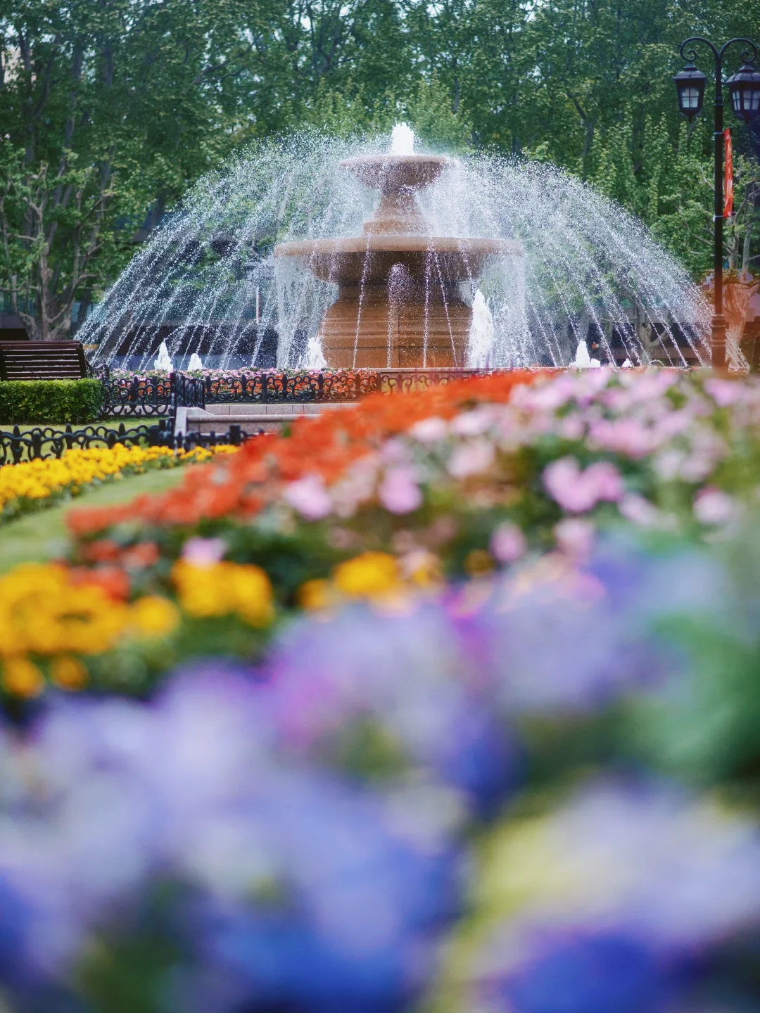 上海市中心的?玫瑰花园即将开启花海模式！！