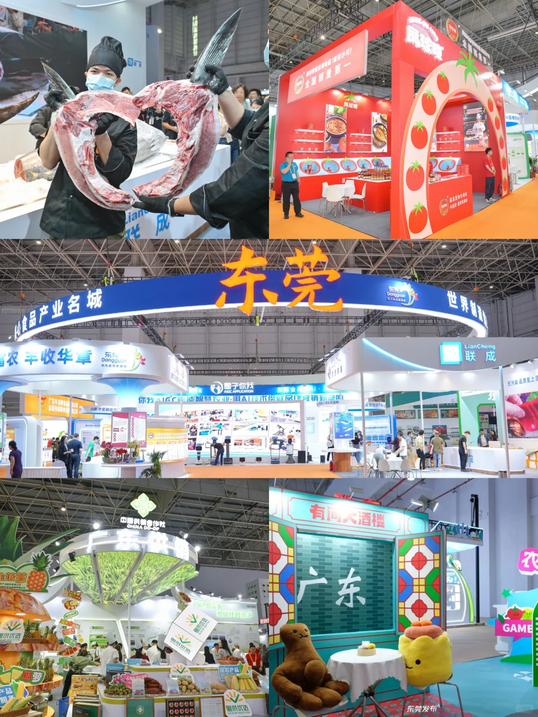 ?免费入场!本周末在东莞,吃遍全球!