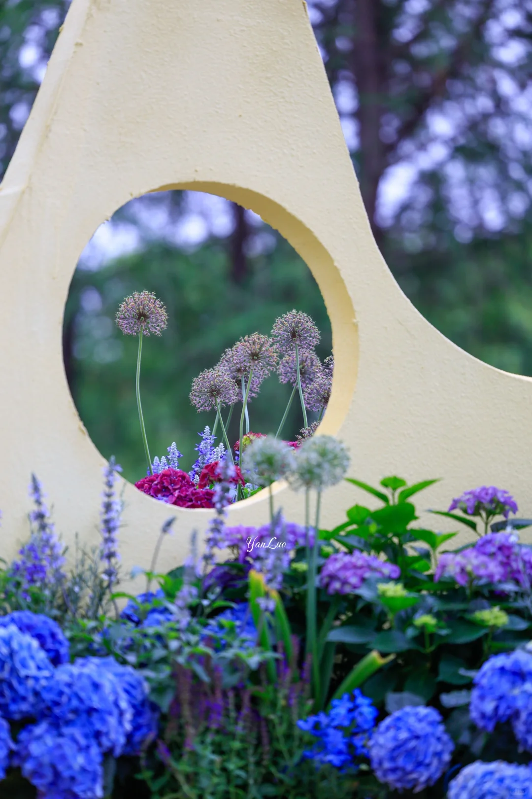 沙湖公园2025世界花园大会｜实地探展攻略