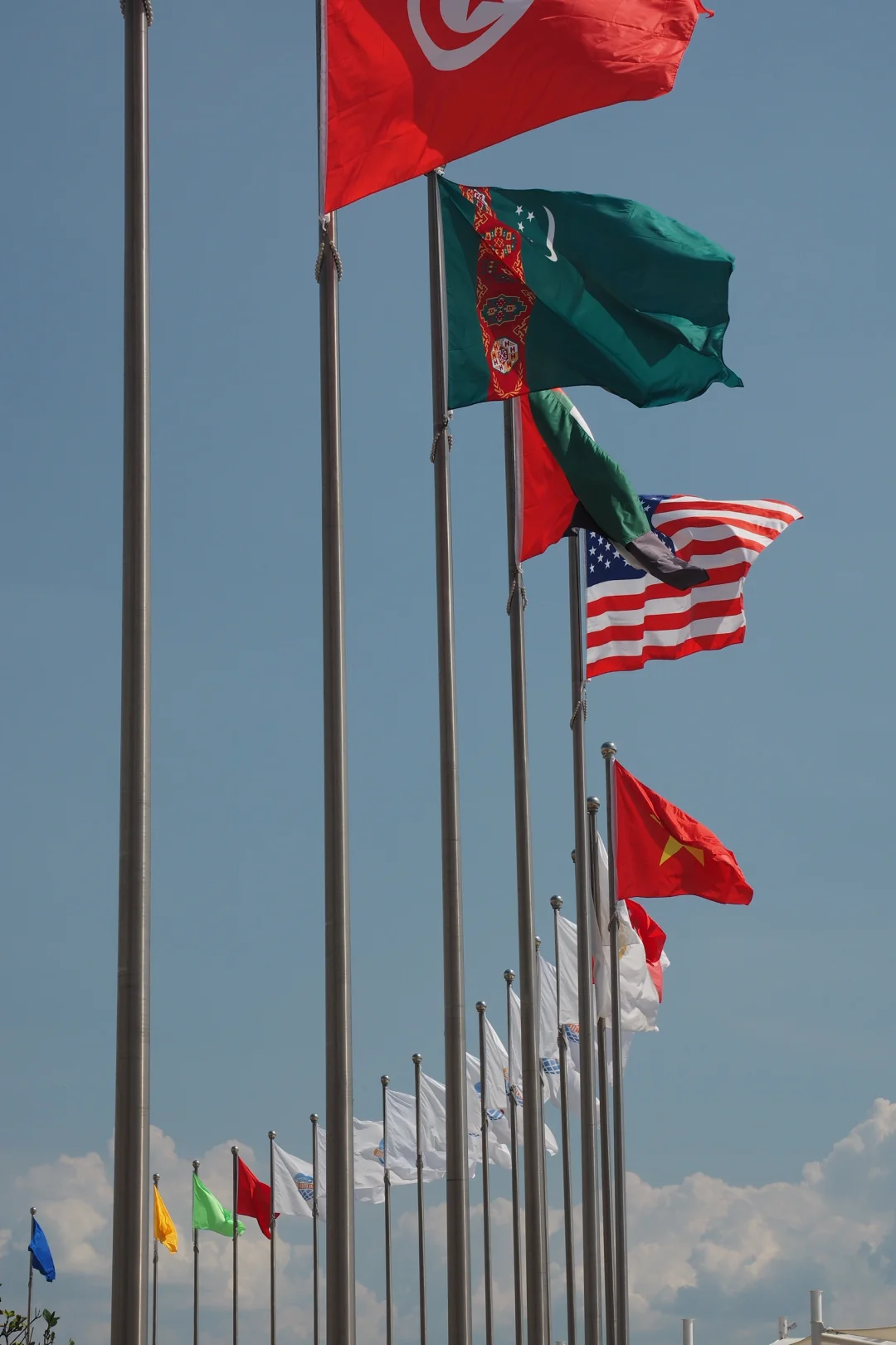 谁还没去南博会！