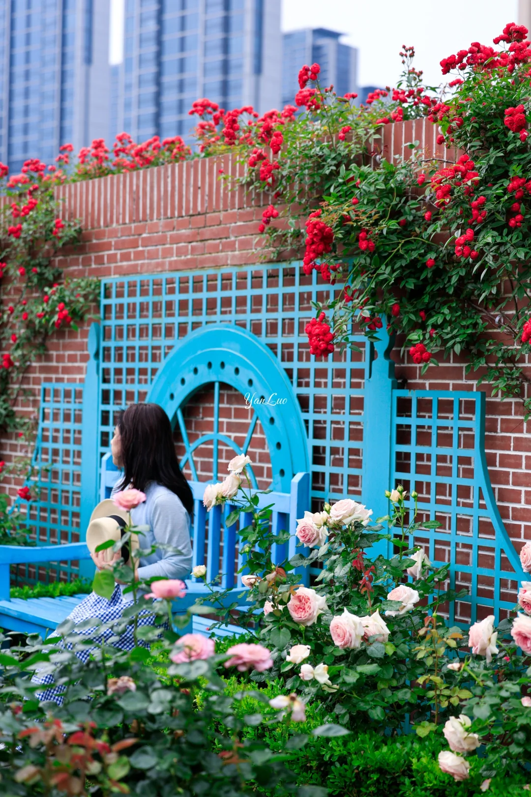 沙湖公园2025世界花园大会｜实地探展攻略