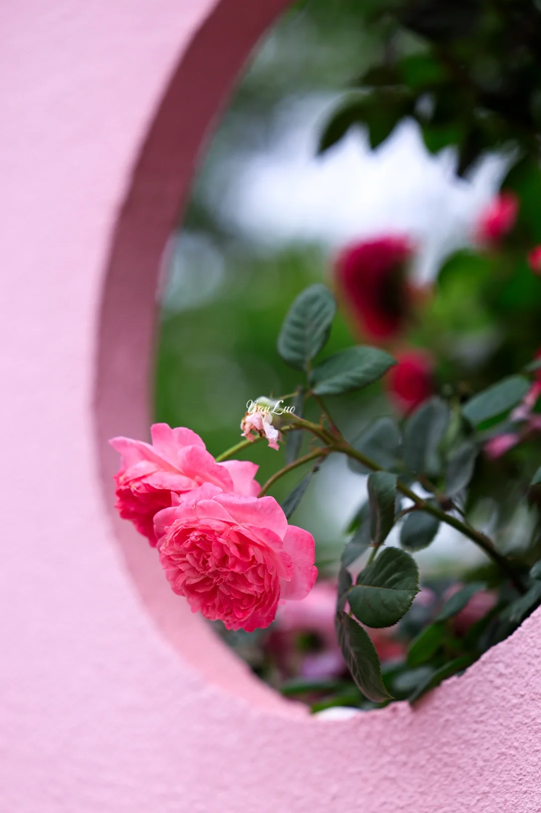 沙湖公园2025世界花园大会｜实地探展攻略