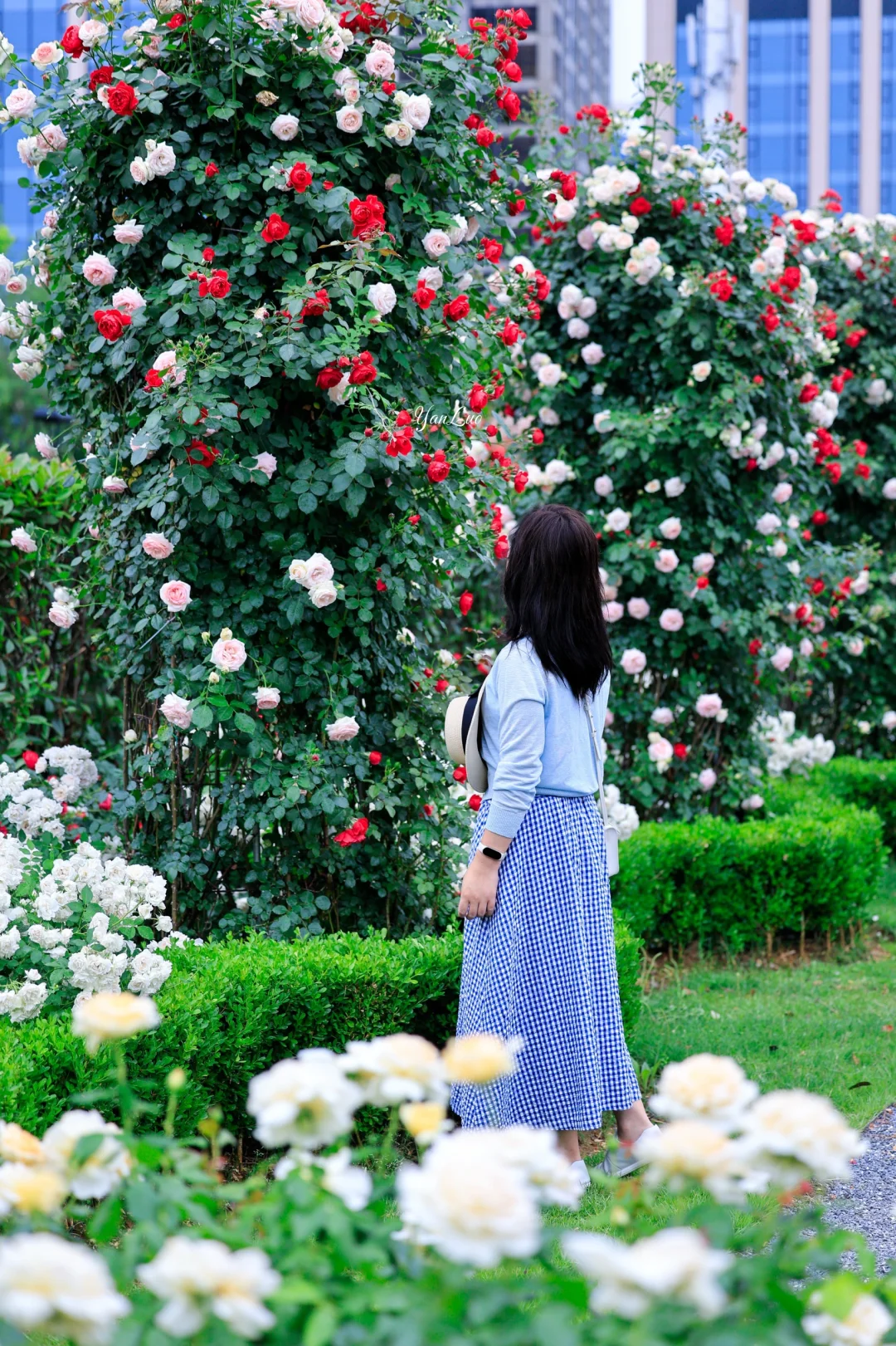 沙湖公园2025世界花园大会｜实地探展攻略