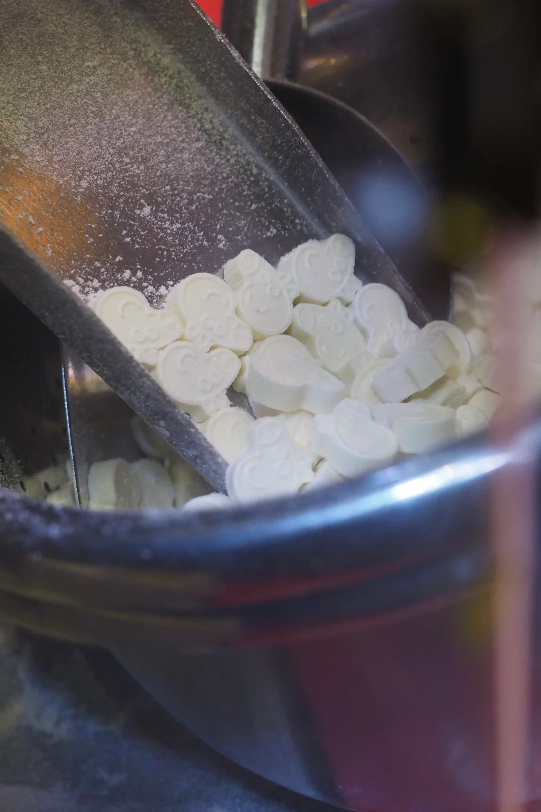 谁还没去南博会！