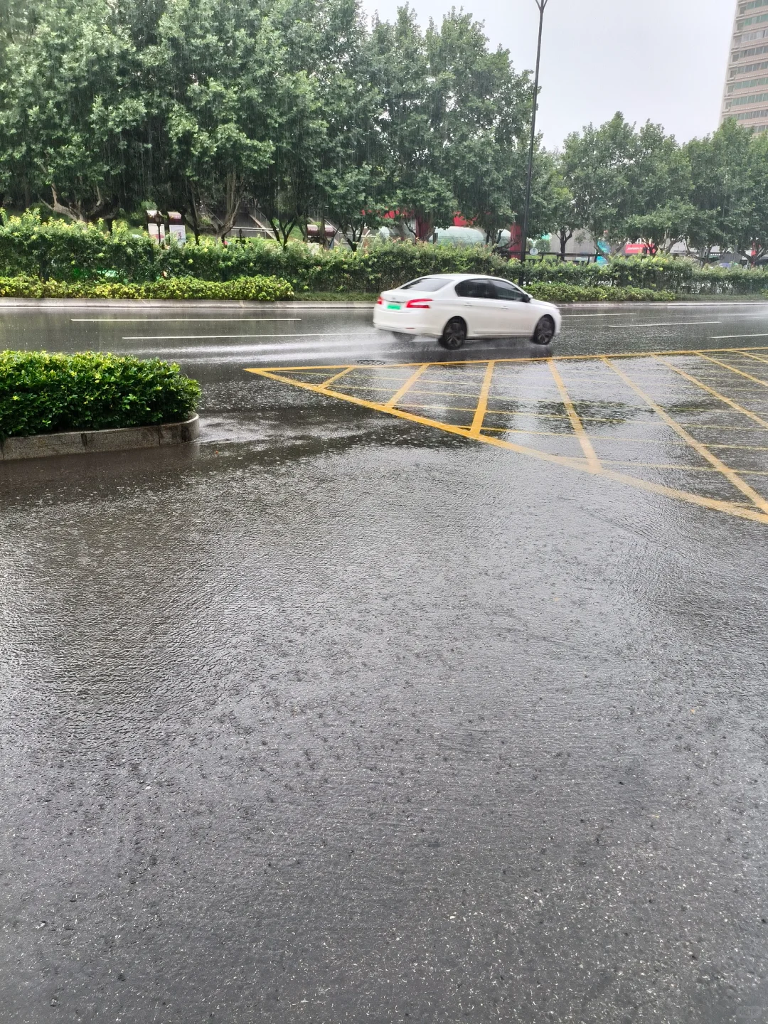 找工作，找了个寂寞