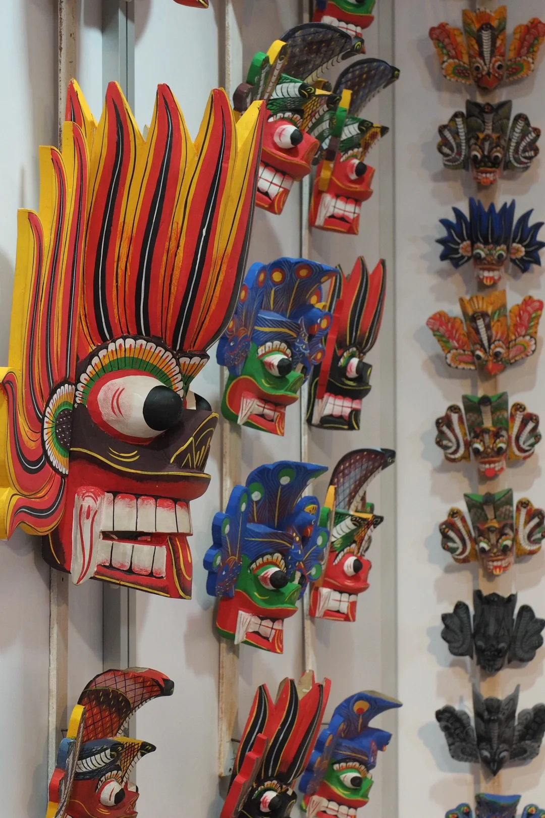 谁还没去南博会！