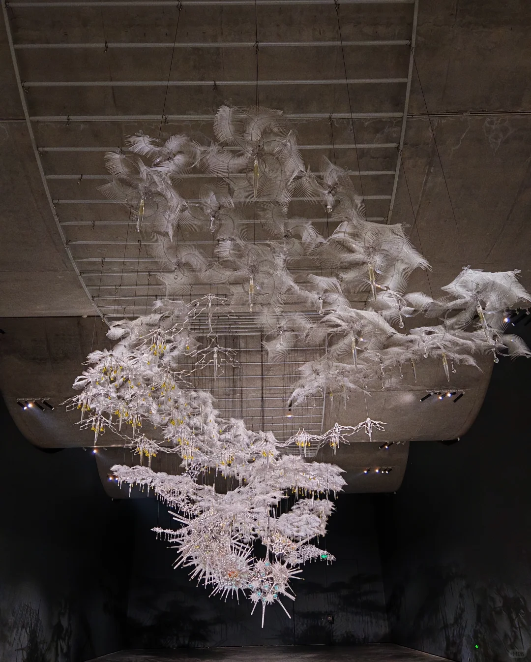 和闺蜜在798CUBE穿越未来实验室!艺术×科技