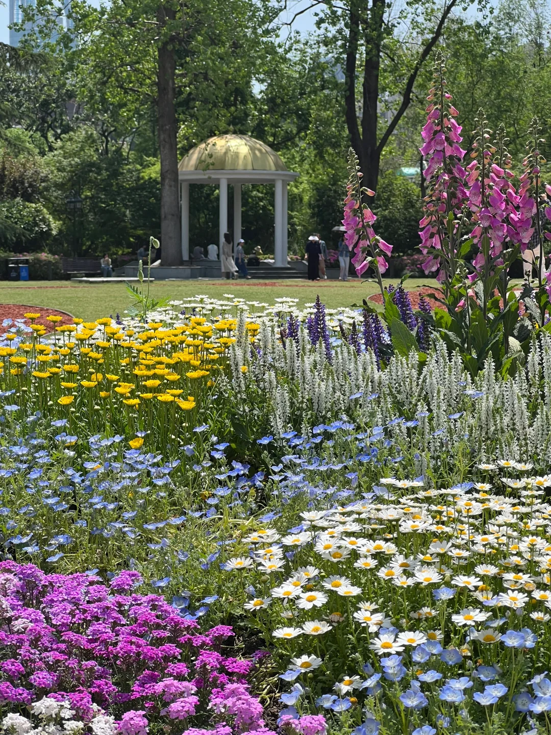 上海市中心的?玫瑰花园即将开启花海模式！！