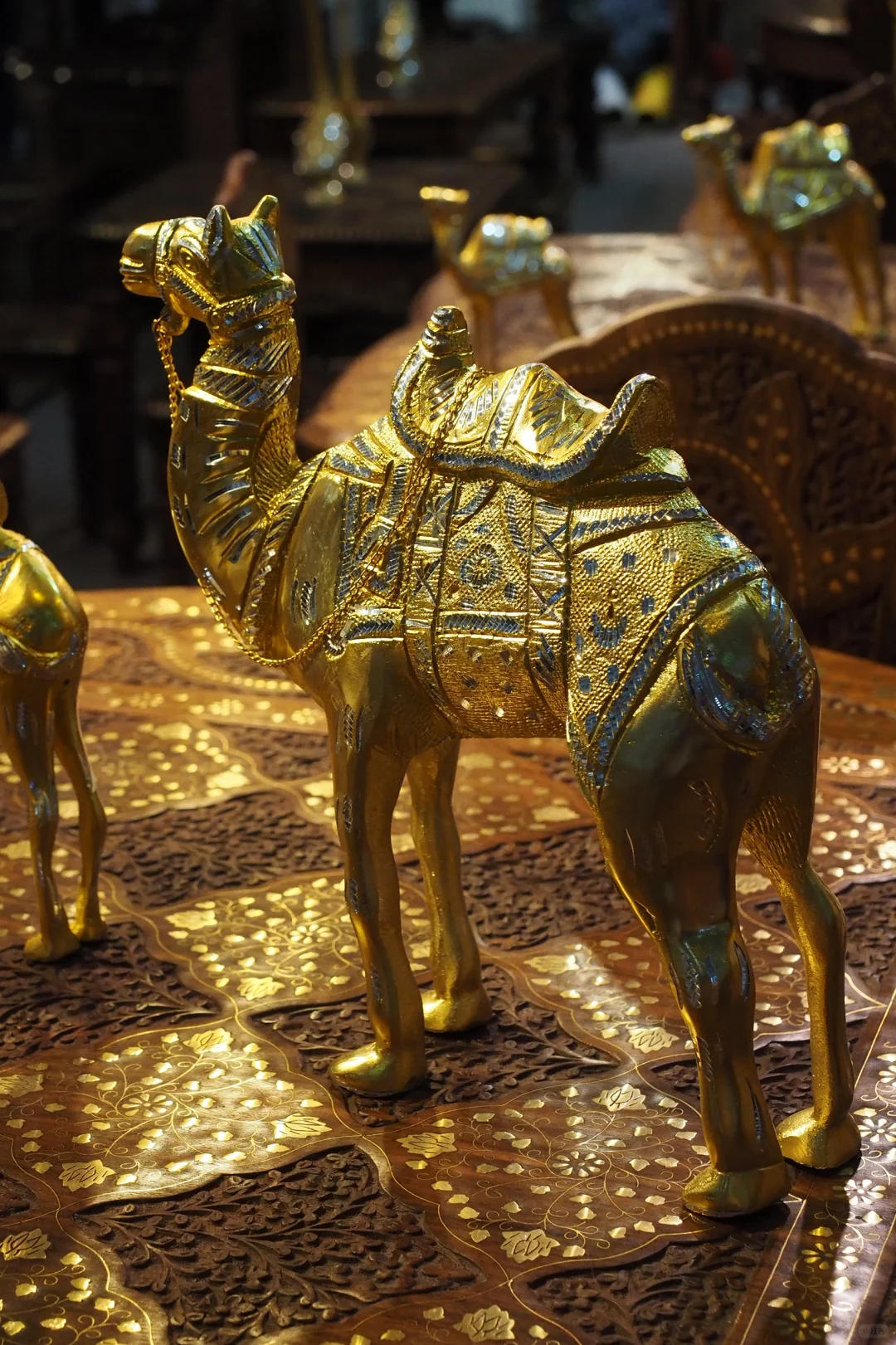 谁还没去南博会！