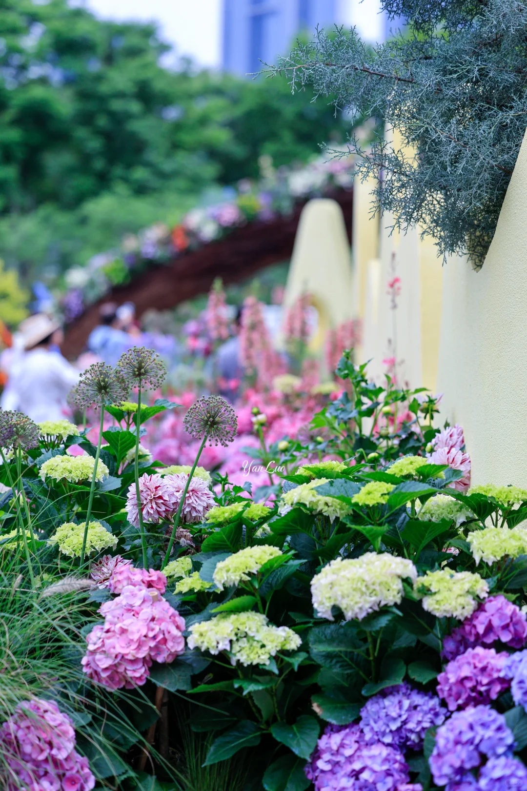 沙湖公园2025世界花园大会｜实地探展攻略