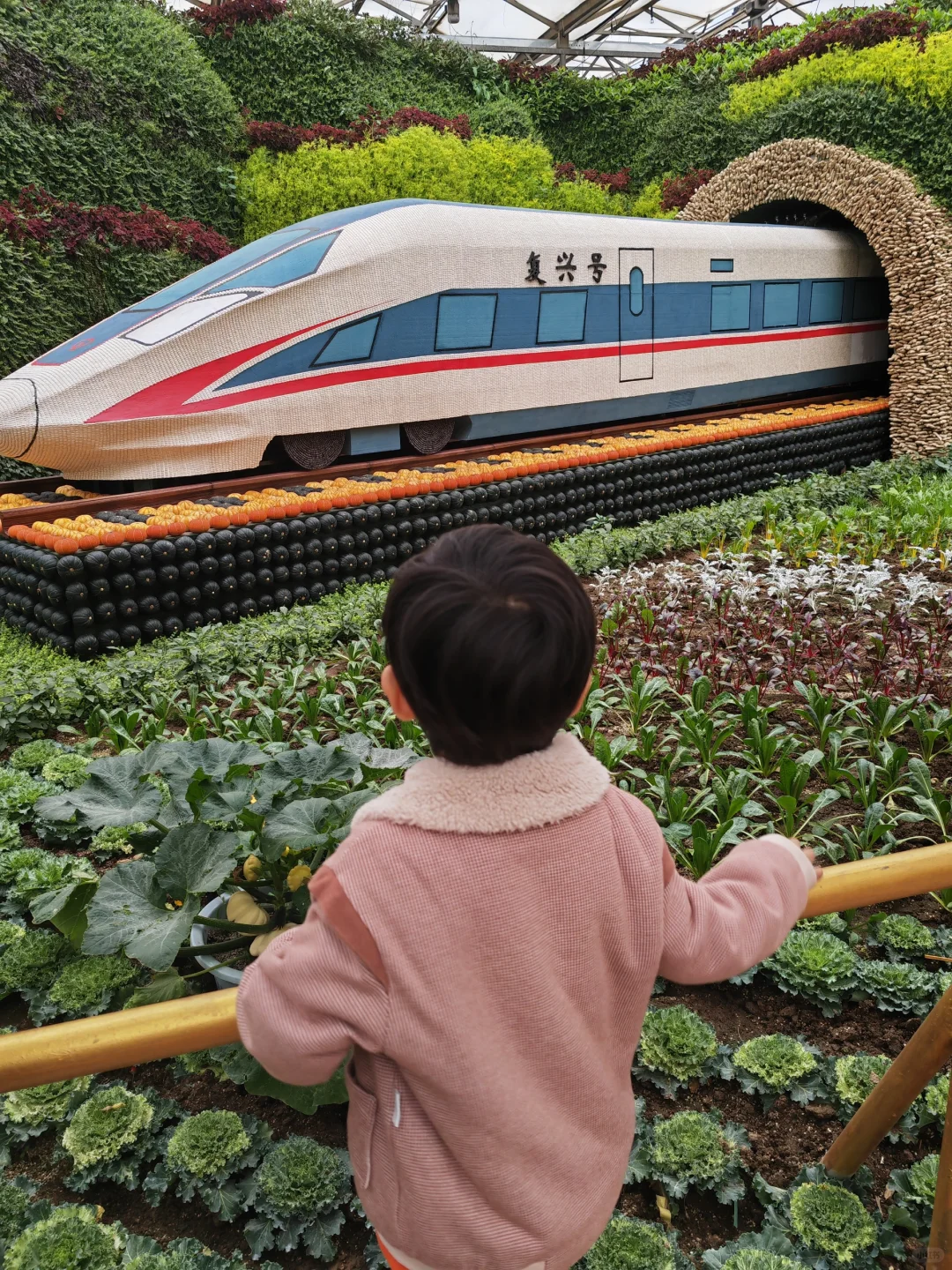 寿光菜博会,我们来啦