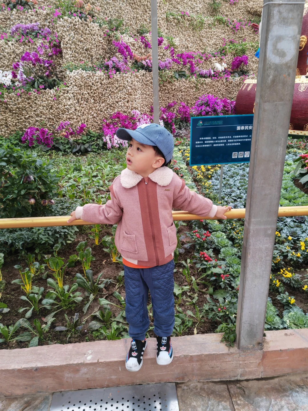 寿光菜博会,我们来啦