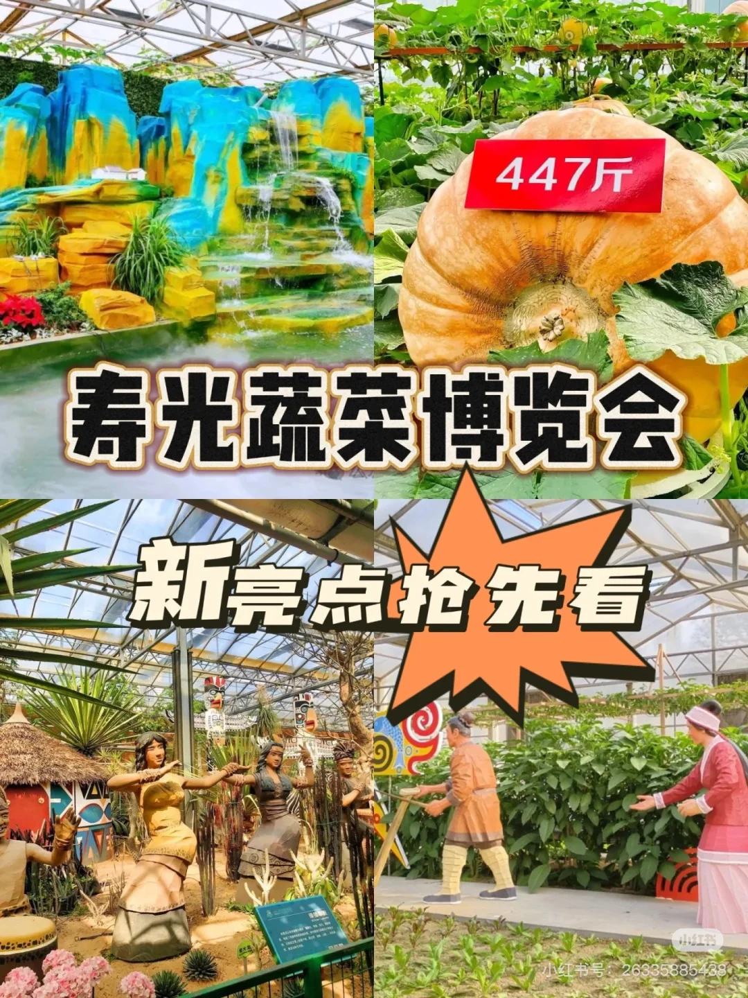 寿光蔬菜博览会哪个馆必看！