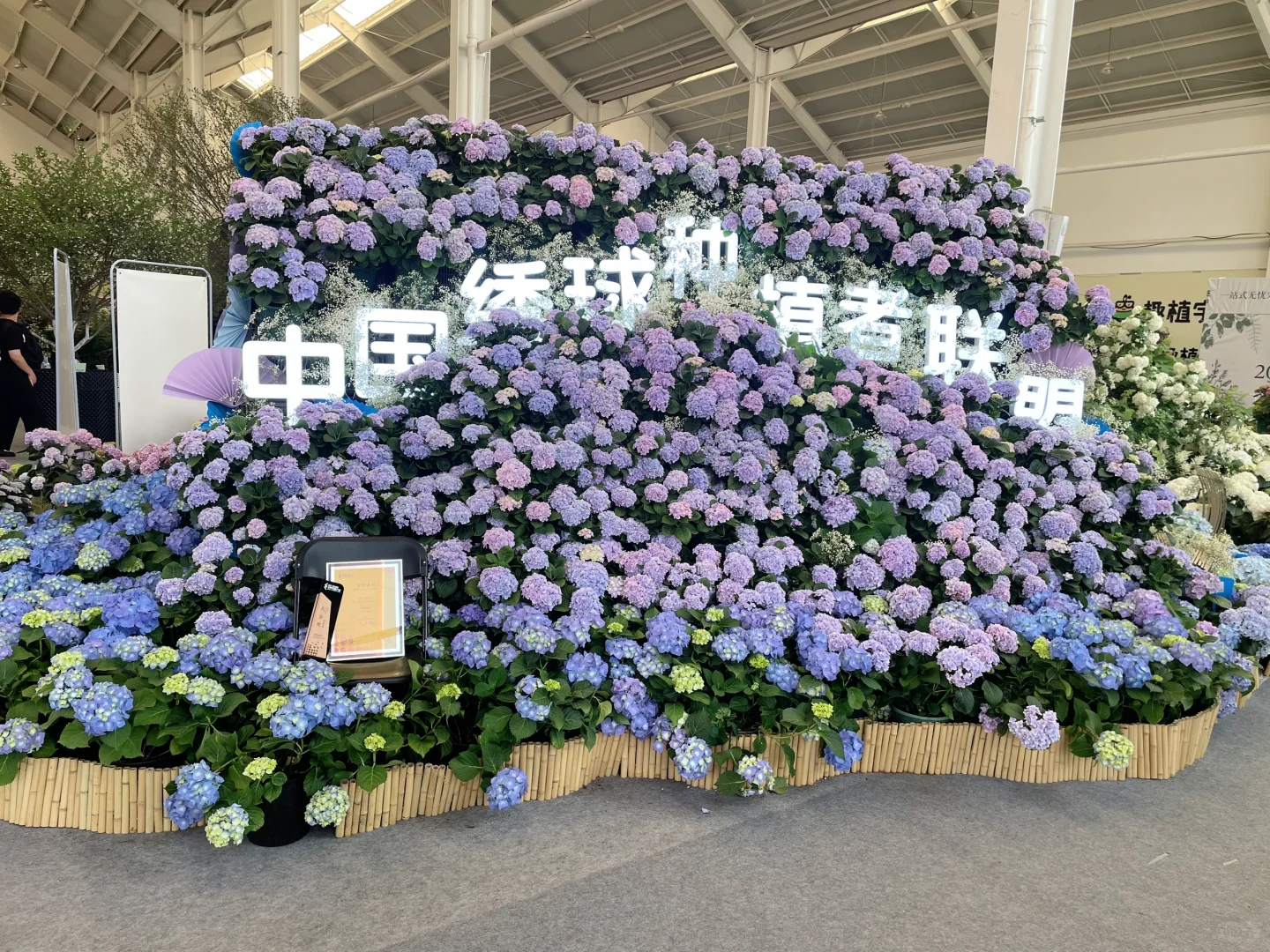 打卡海宁花园大会?