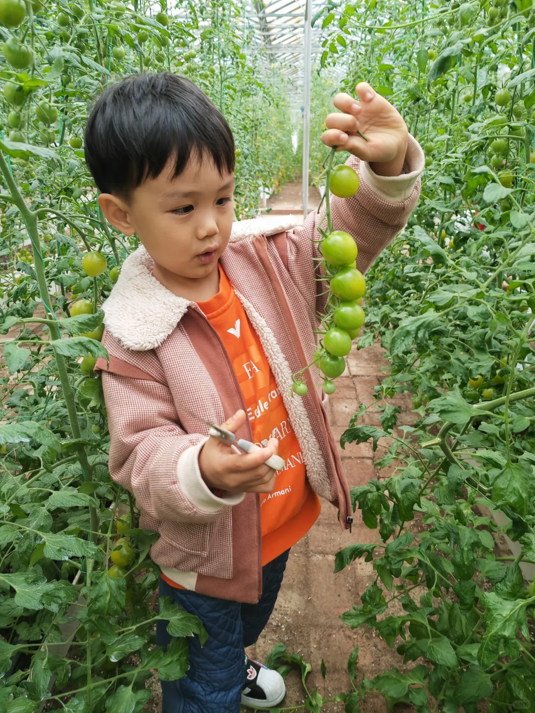 寿光菜博会,我们来啦