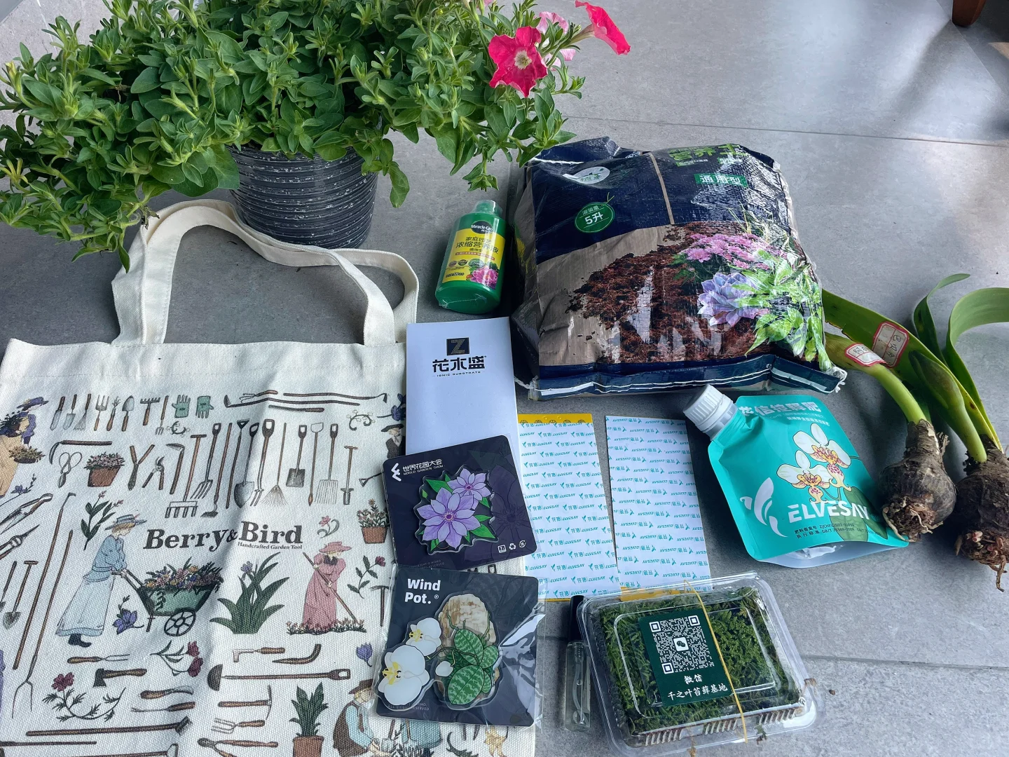 打卡海宁花园大会?