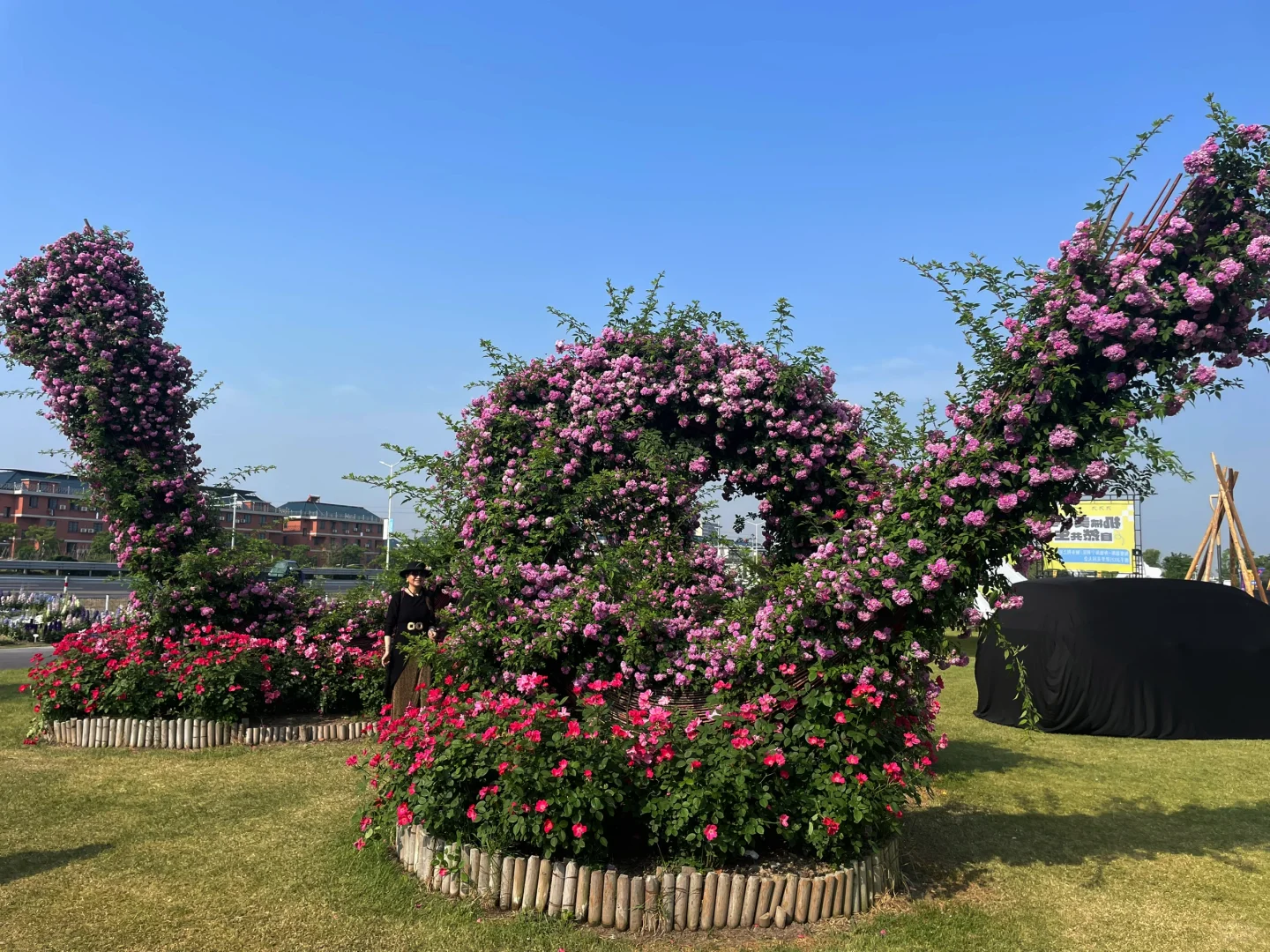 打卡海宁花园大会?