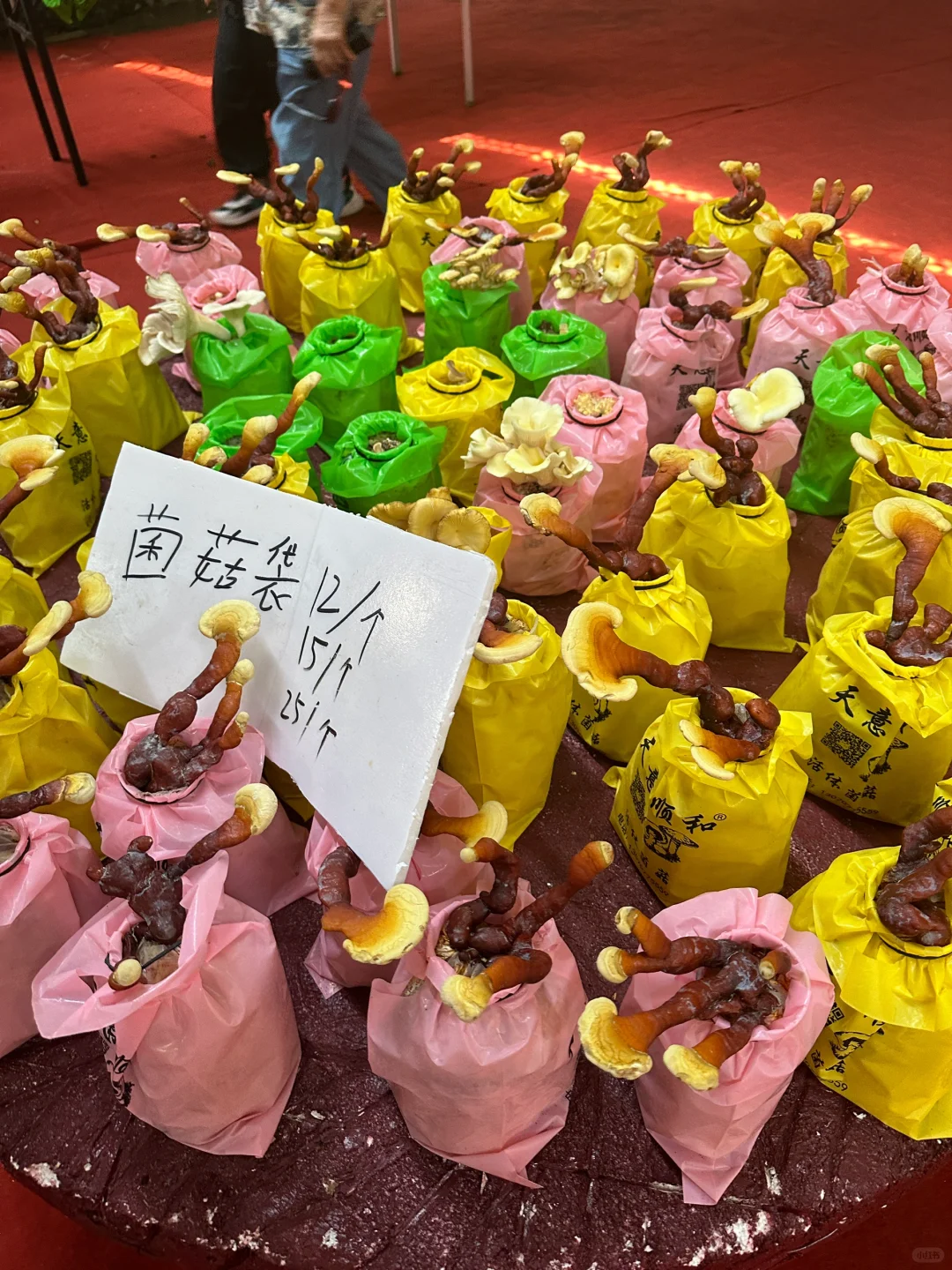 十个勤天你们真的不来寿光菜博会看看么??