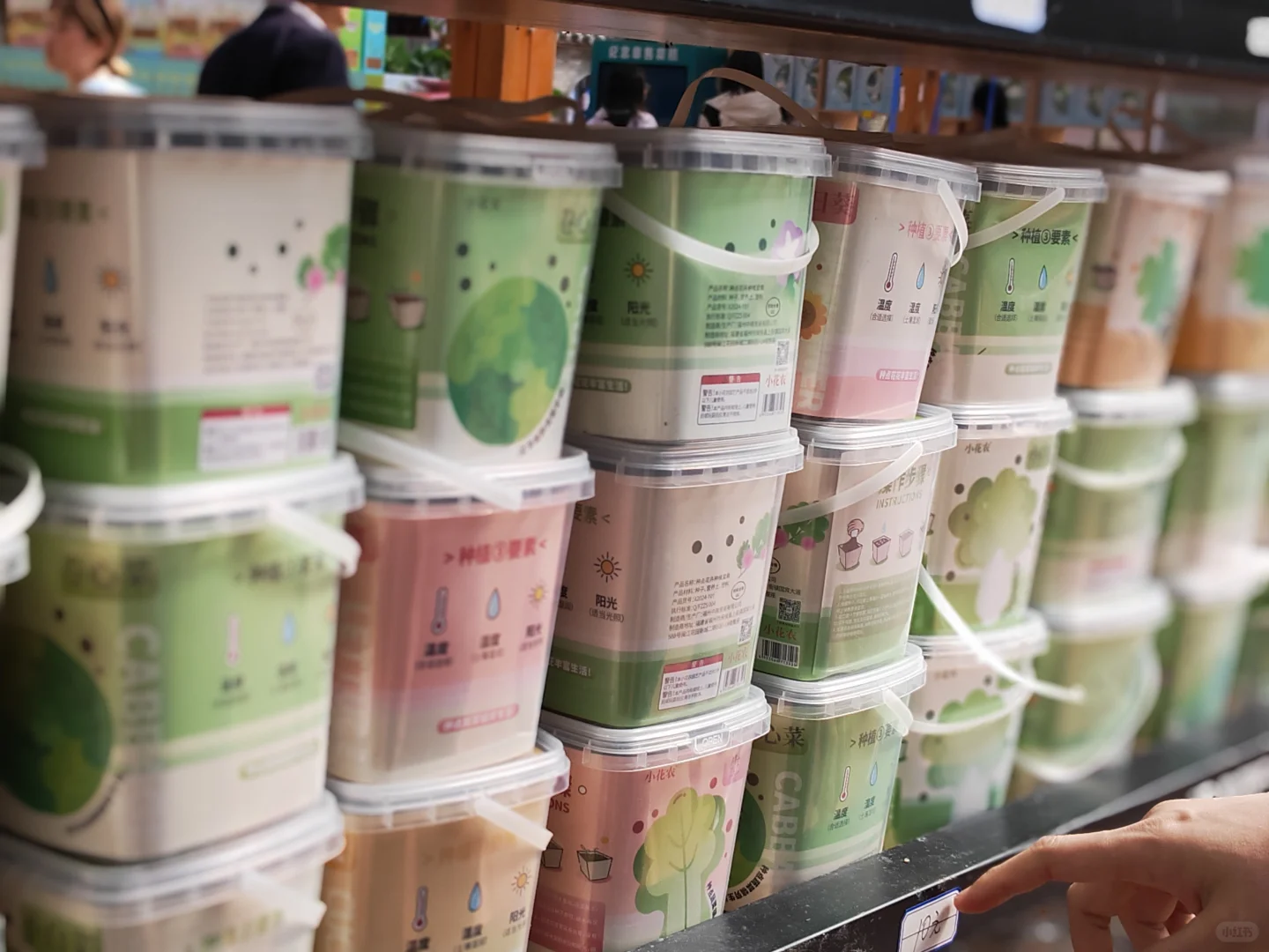 寿光国际蔬菜博览会