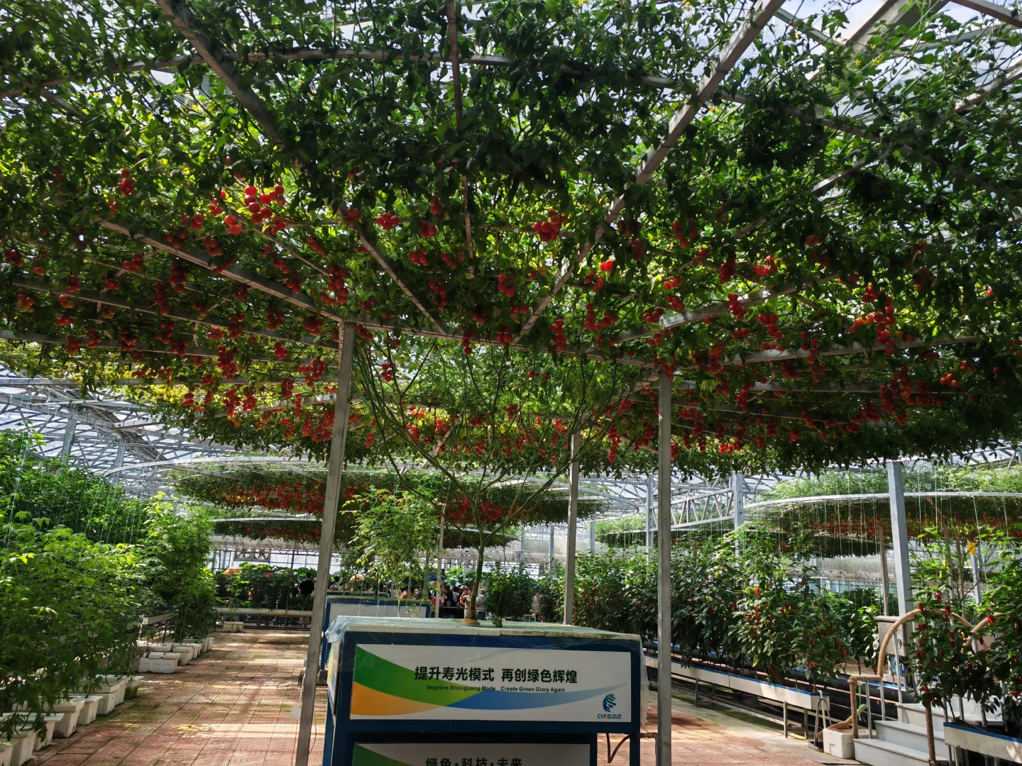 寿光国际蔬菜博览会