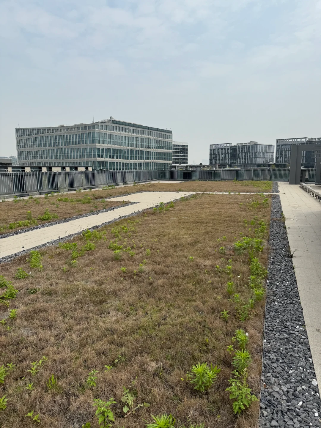 福永会展湾小独栋出租