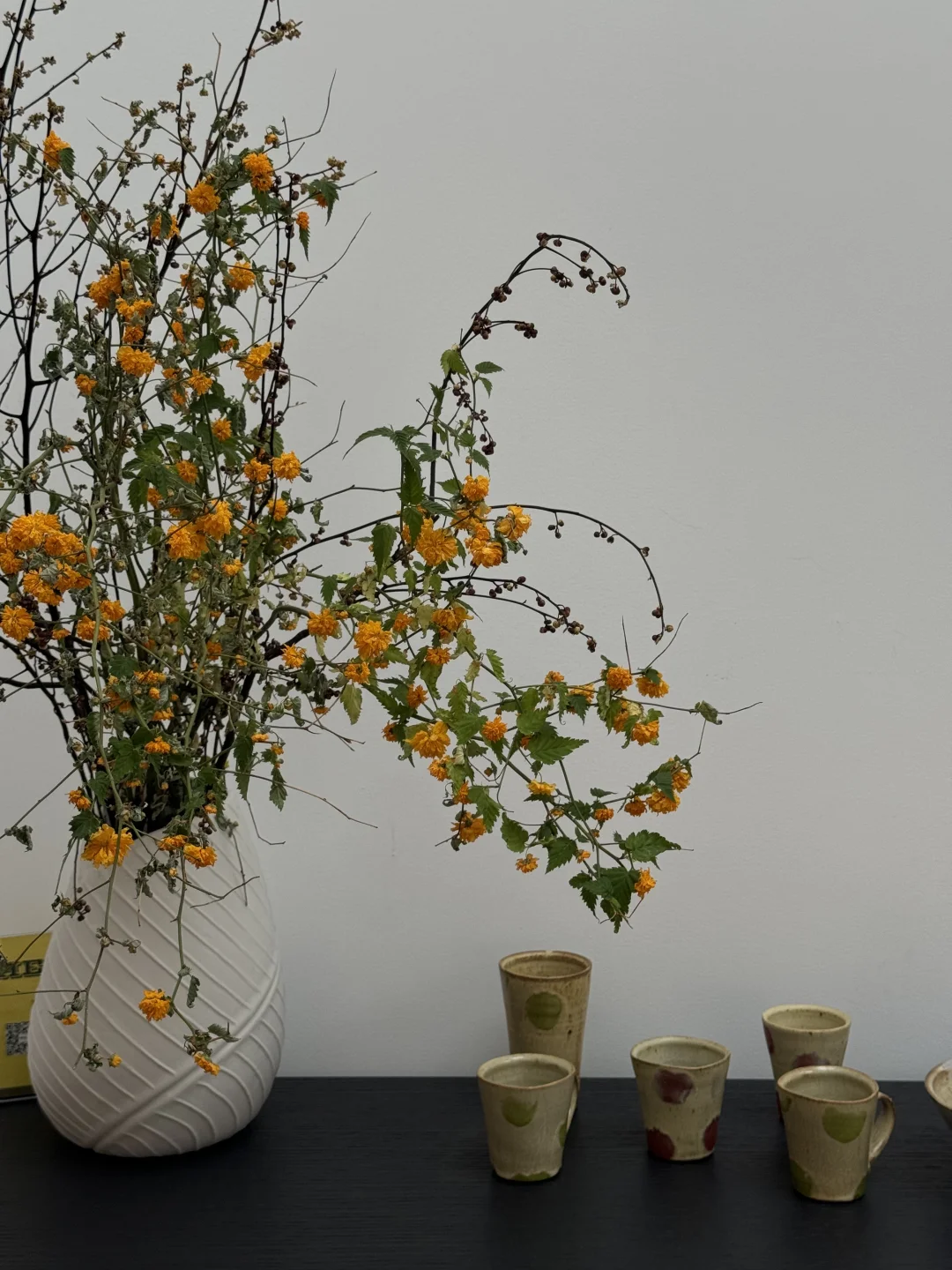 五一别错过798免费趣味展?