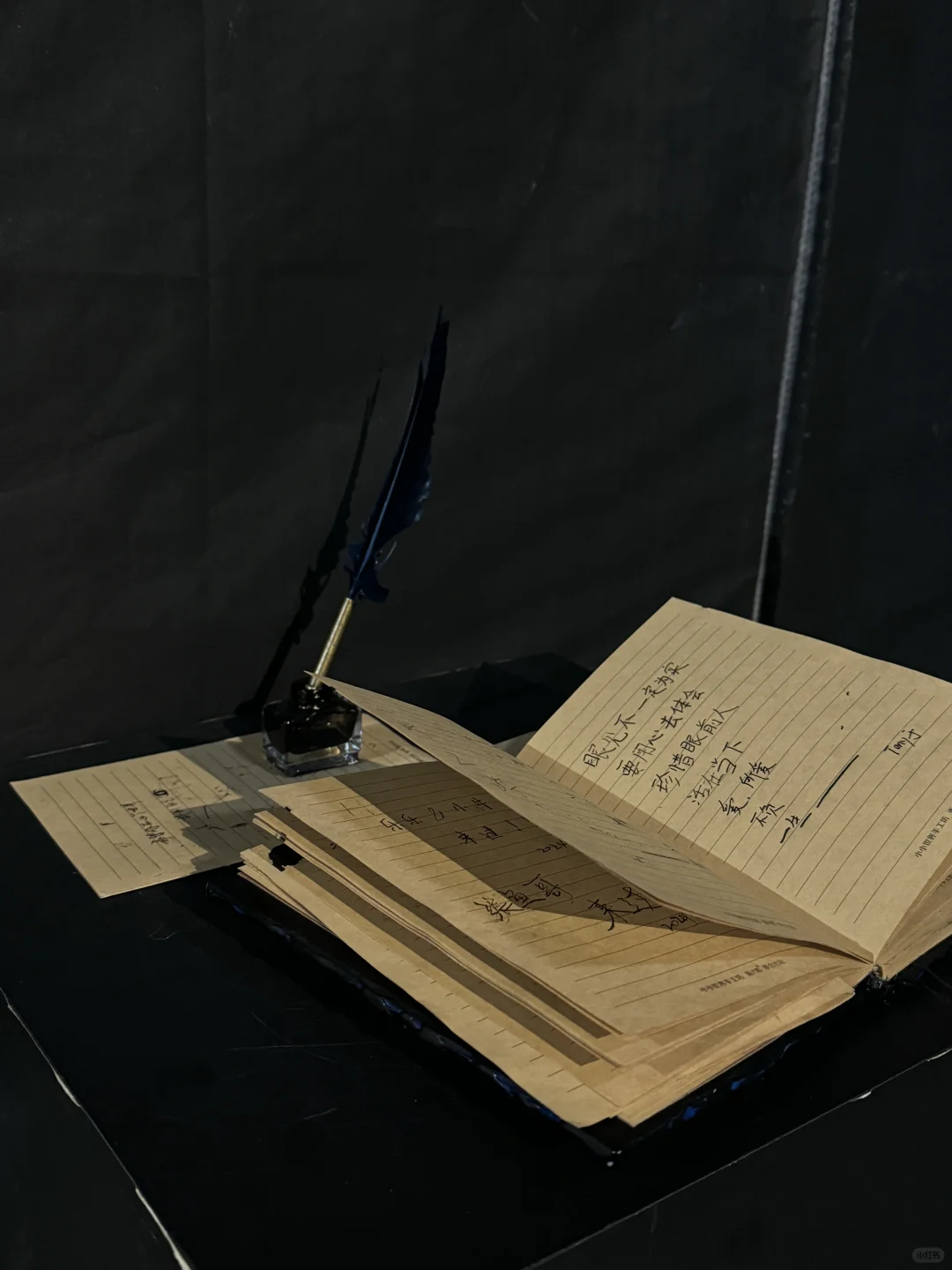 上海新展！蝶中蝶！！包出片的