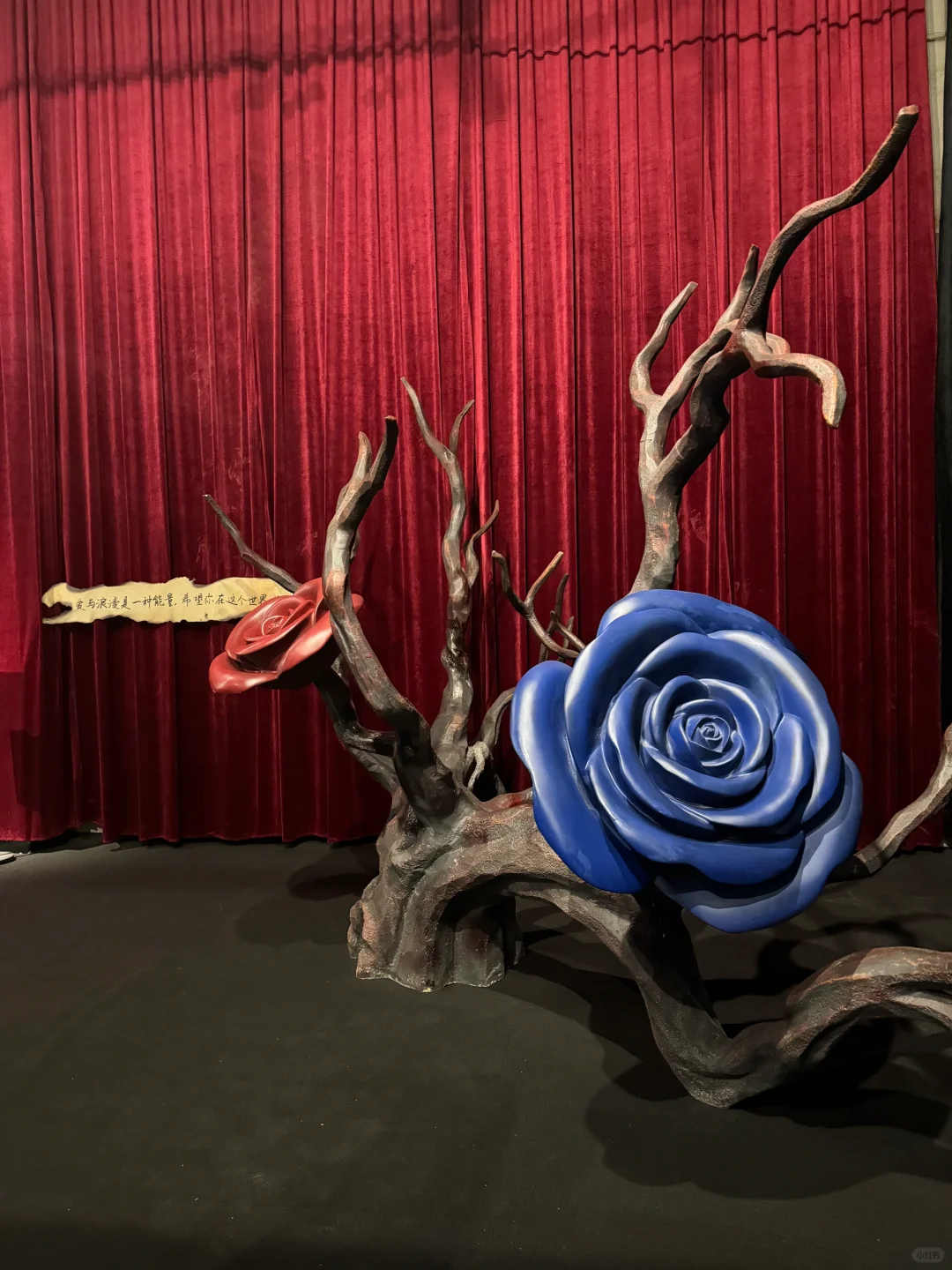 上海新展！蝶中蝶！！包出片的