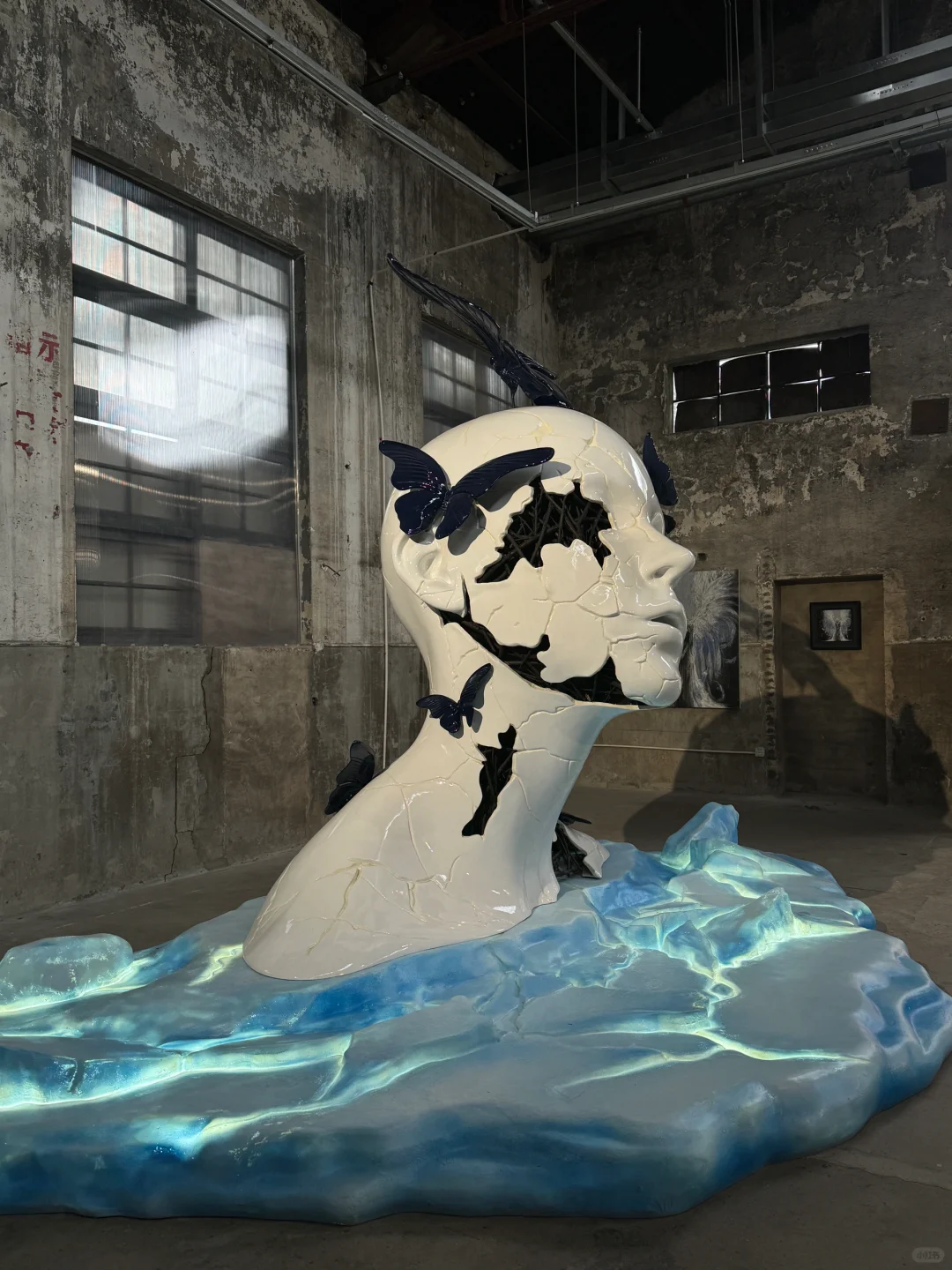 上海新展！蝶中蝶！！包出片的