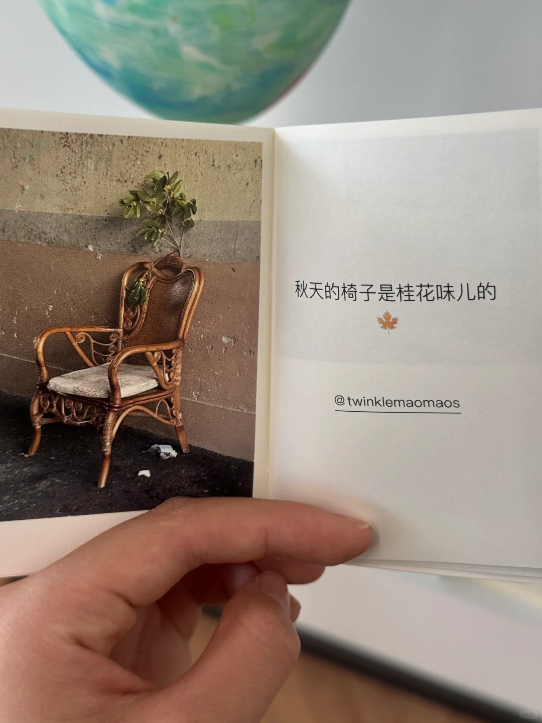 ⋆꙳?上海超治愈展览｜阳光太好真「坐不住了」