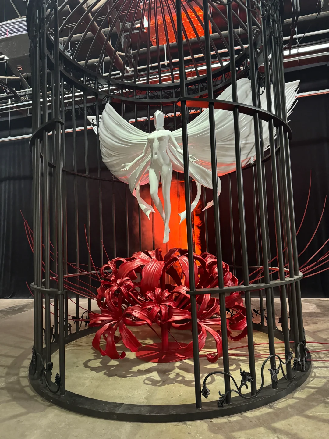 上海新展！蝶中蝶！！包出片的