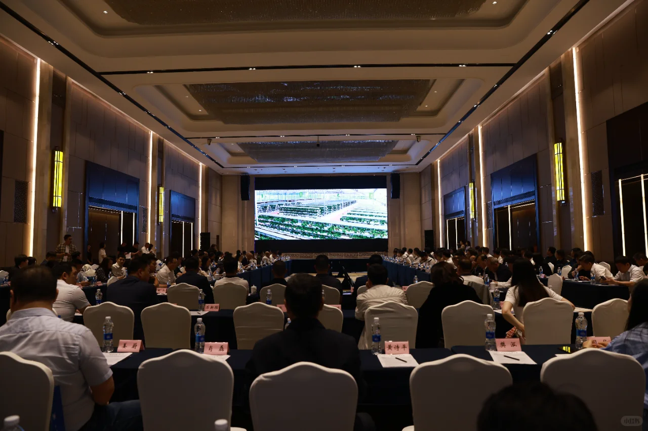 辽宁-重庆企业家座谈会圆满成功