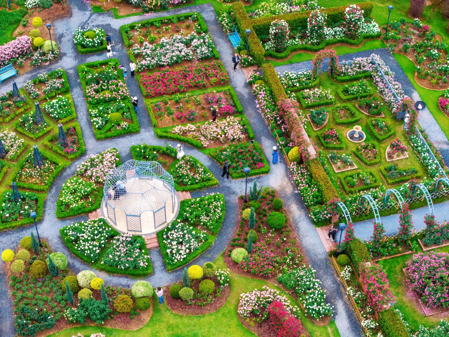 今天六点的沙湖公园