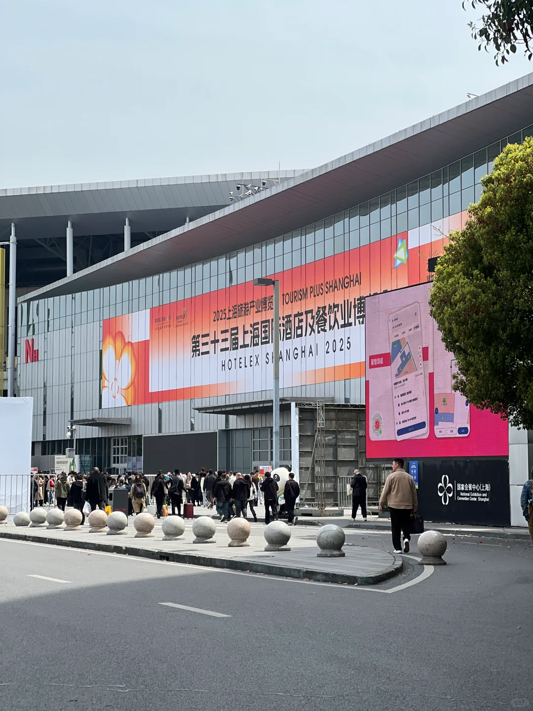 打卡上海美食展 沉浸式吃嗨一下午