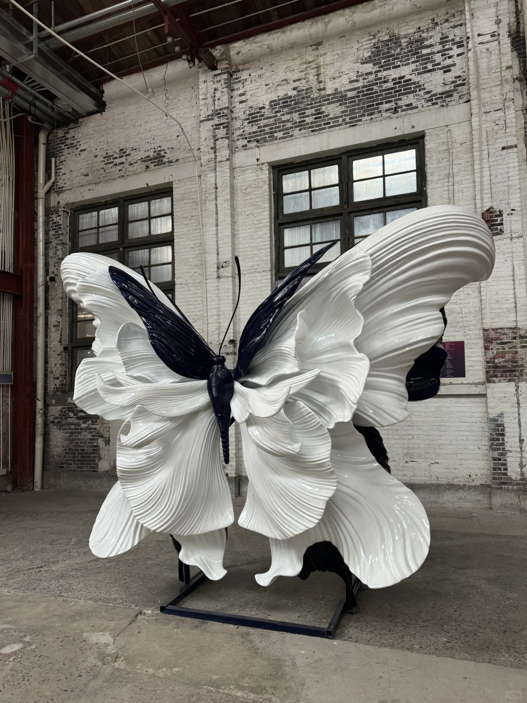 上海新展！蝶中蝶！！包出片的