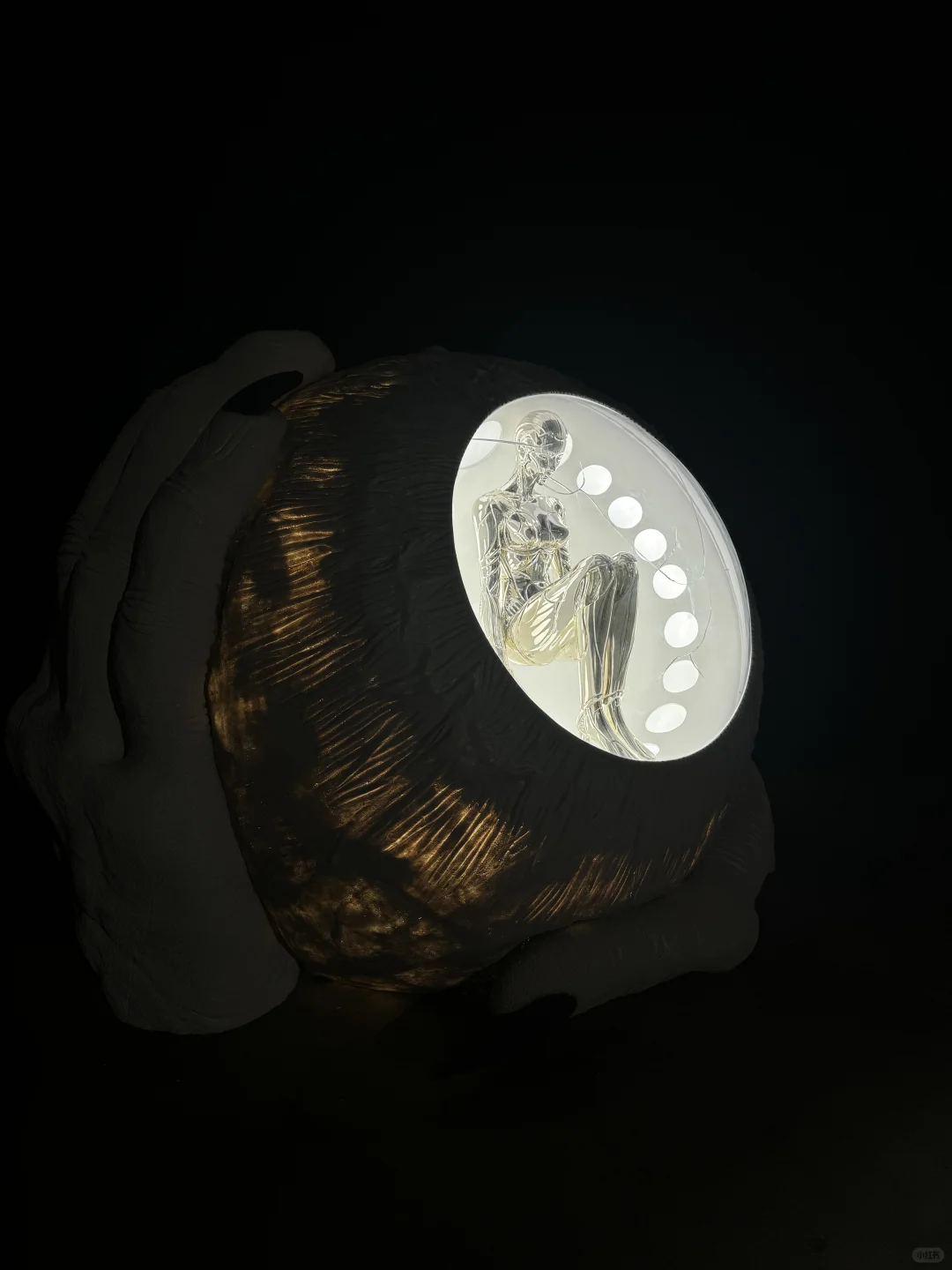 上海新展！蝶中蝶！！包出片的