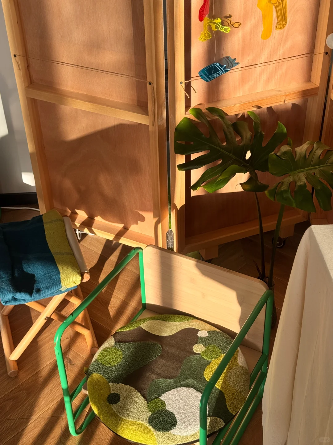 ⋆꙳?上海超治愈展览｜阳光太好真「坐不住了」