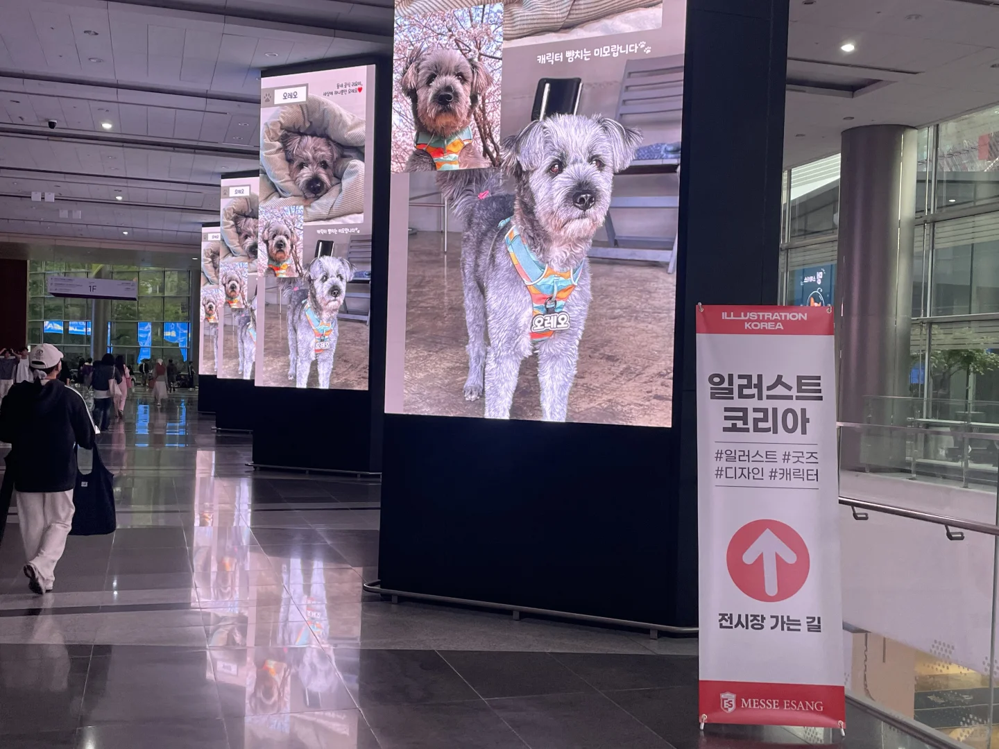 今天的会展，是让我掉到帅哥坑了吗！