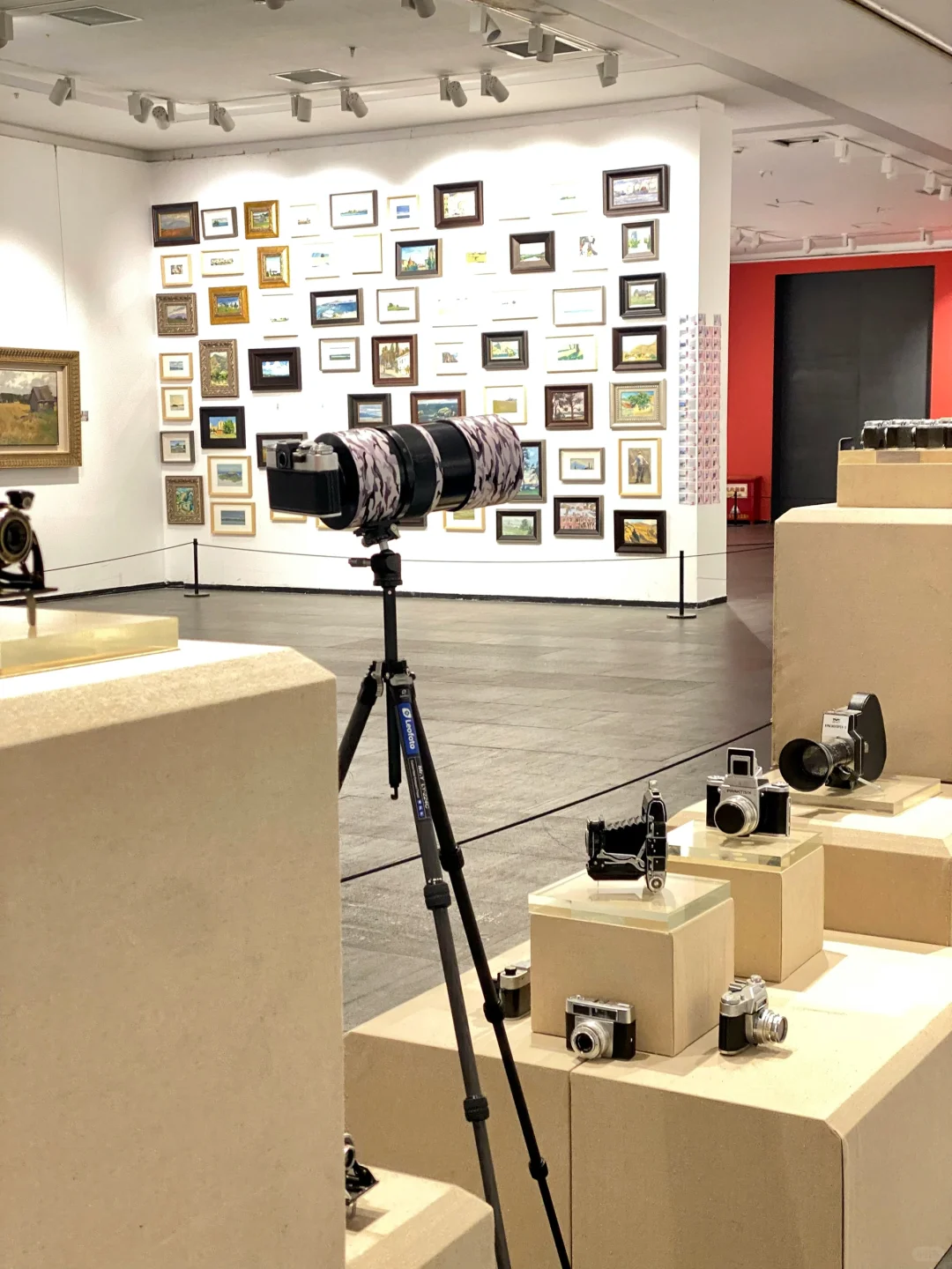 偶遇云龙湖画展 超出片 快去打卡