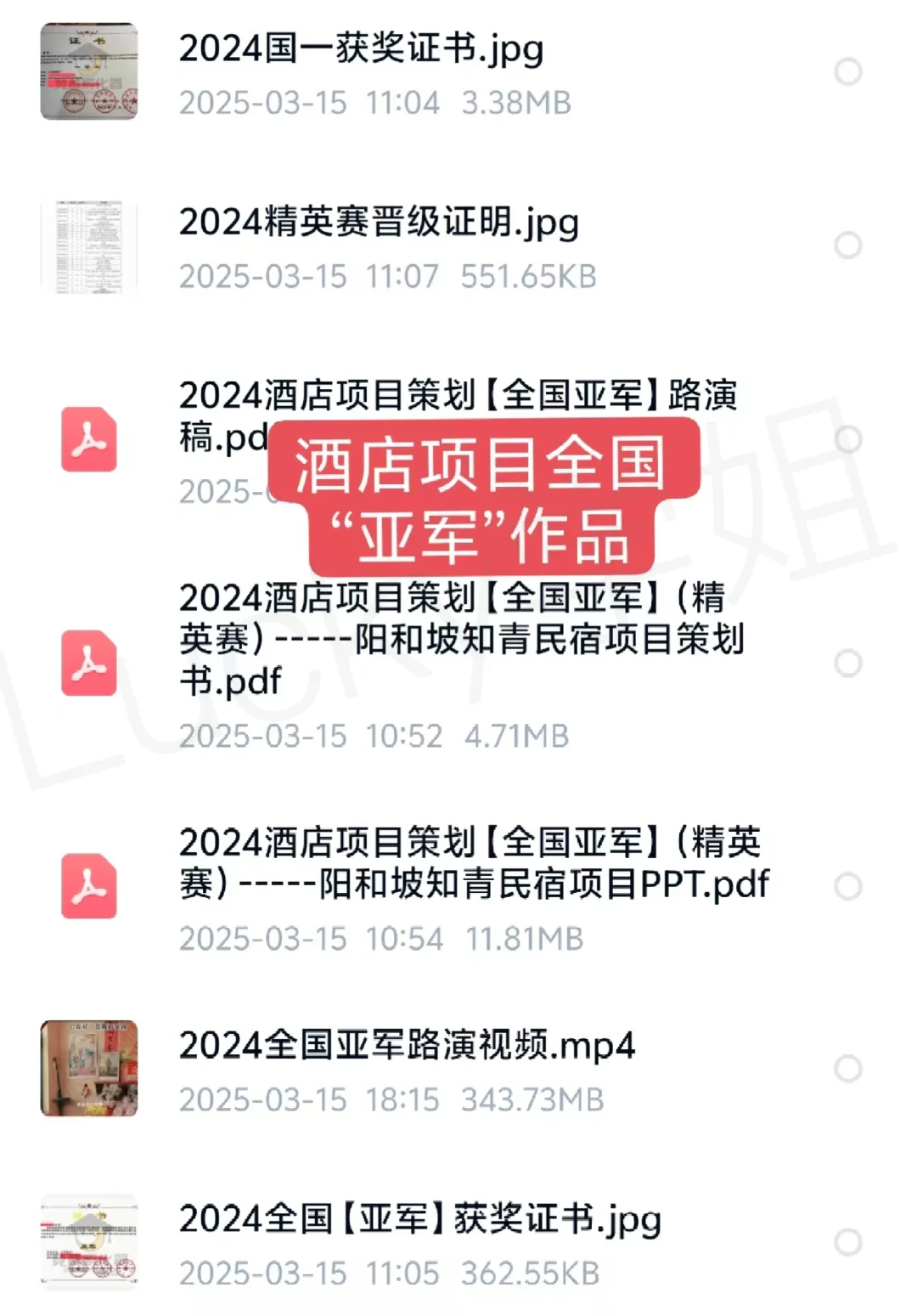 2024文旅与会展酒店项目策划国一作品