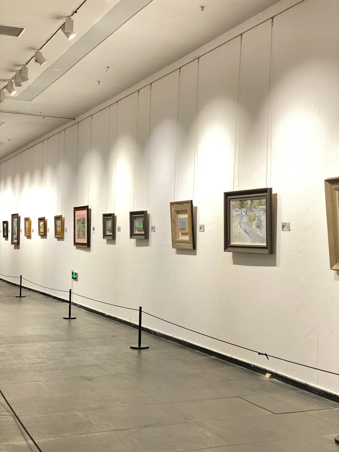 偶遇云龙湖画展 超出片 快去打卡