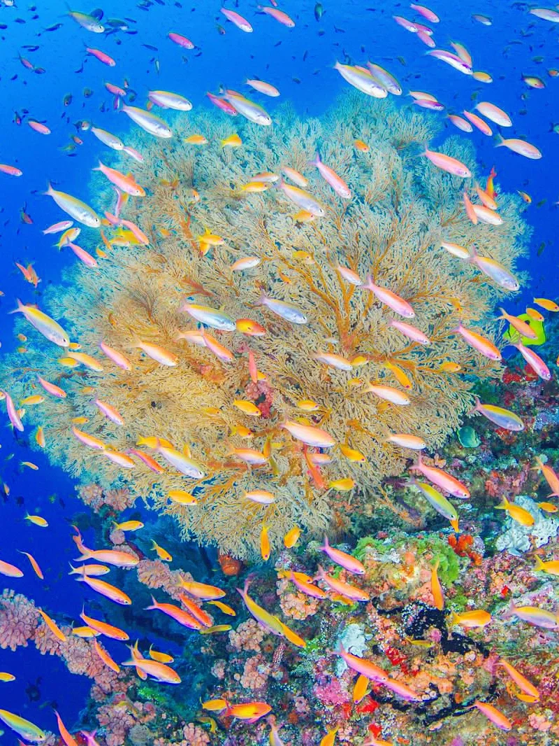 ITB China旅游展|旅游爱好者冲就对了~